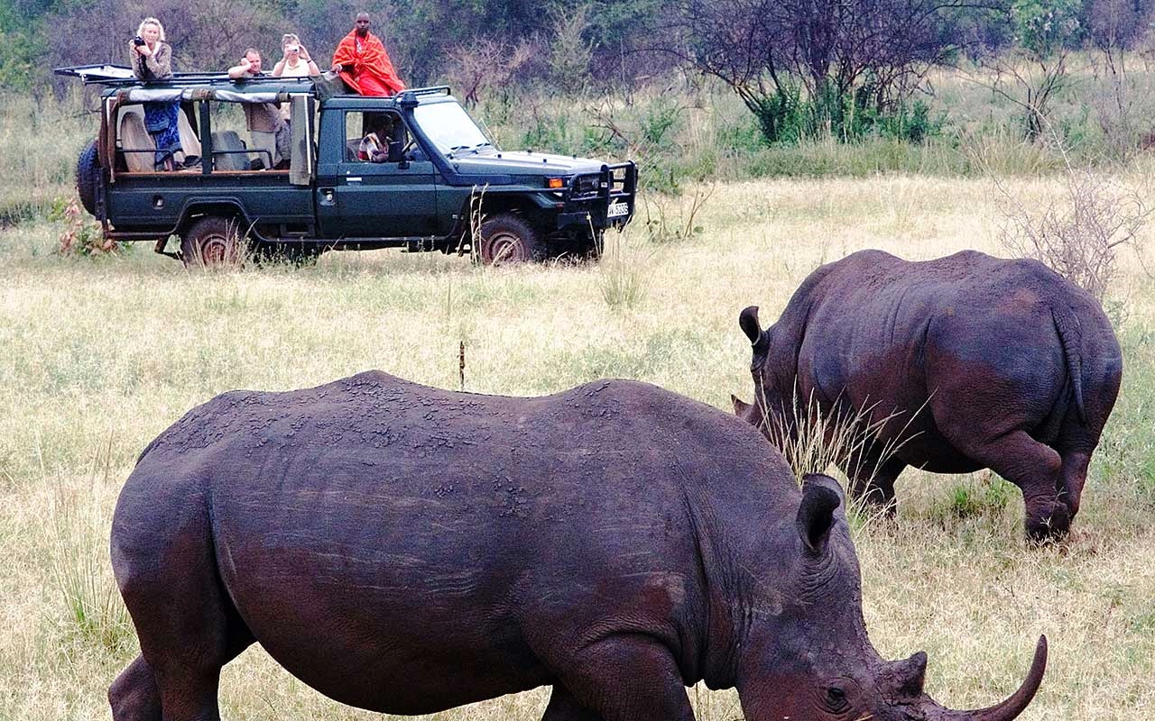   Offbeat Meru   ...preserving the critically endangered black rhino 