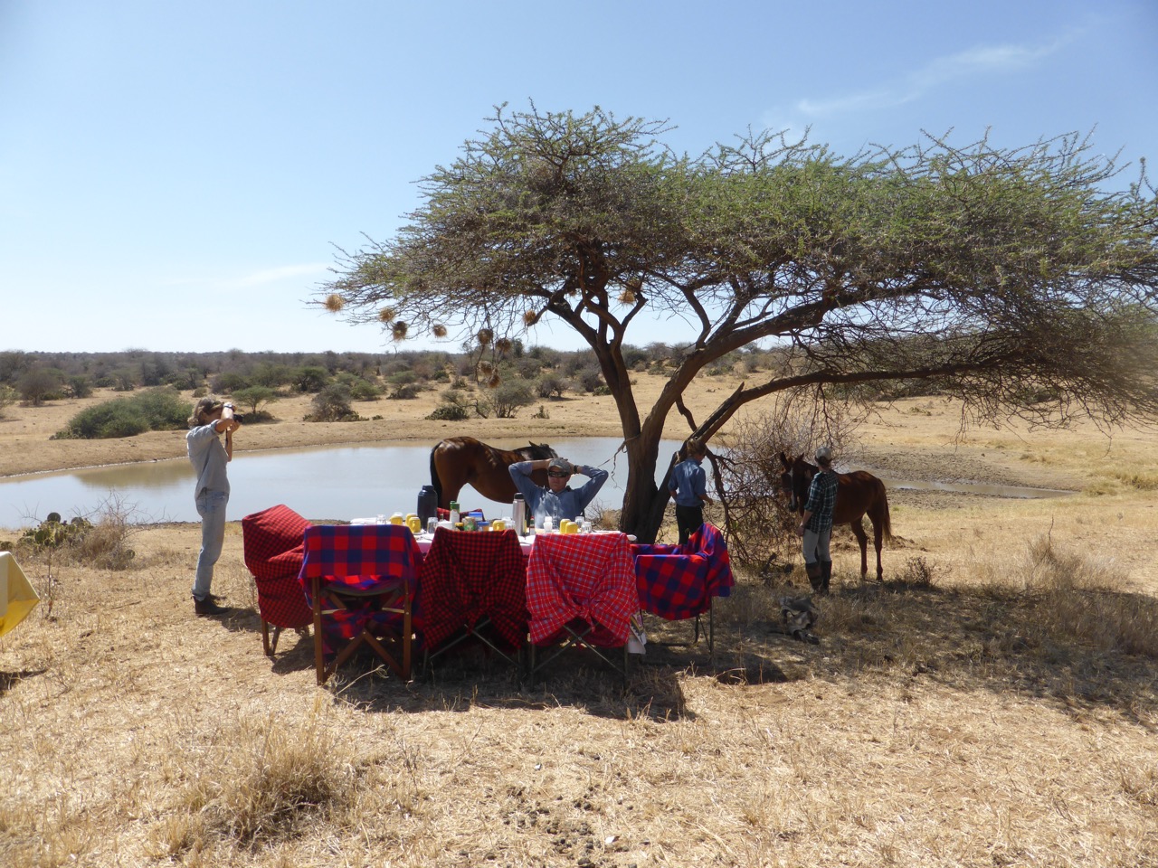 Day 5 Loisaba bush breakfast.jpg