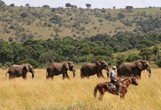 Laikipia 1.jpg