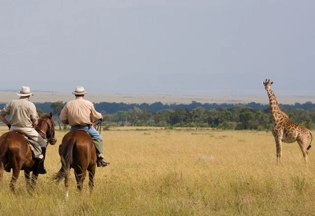 Laikipia 4.jpg