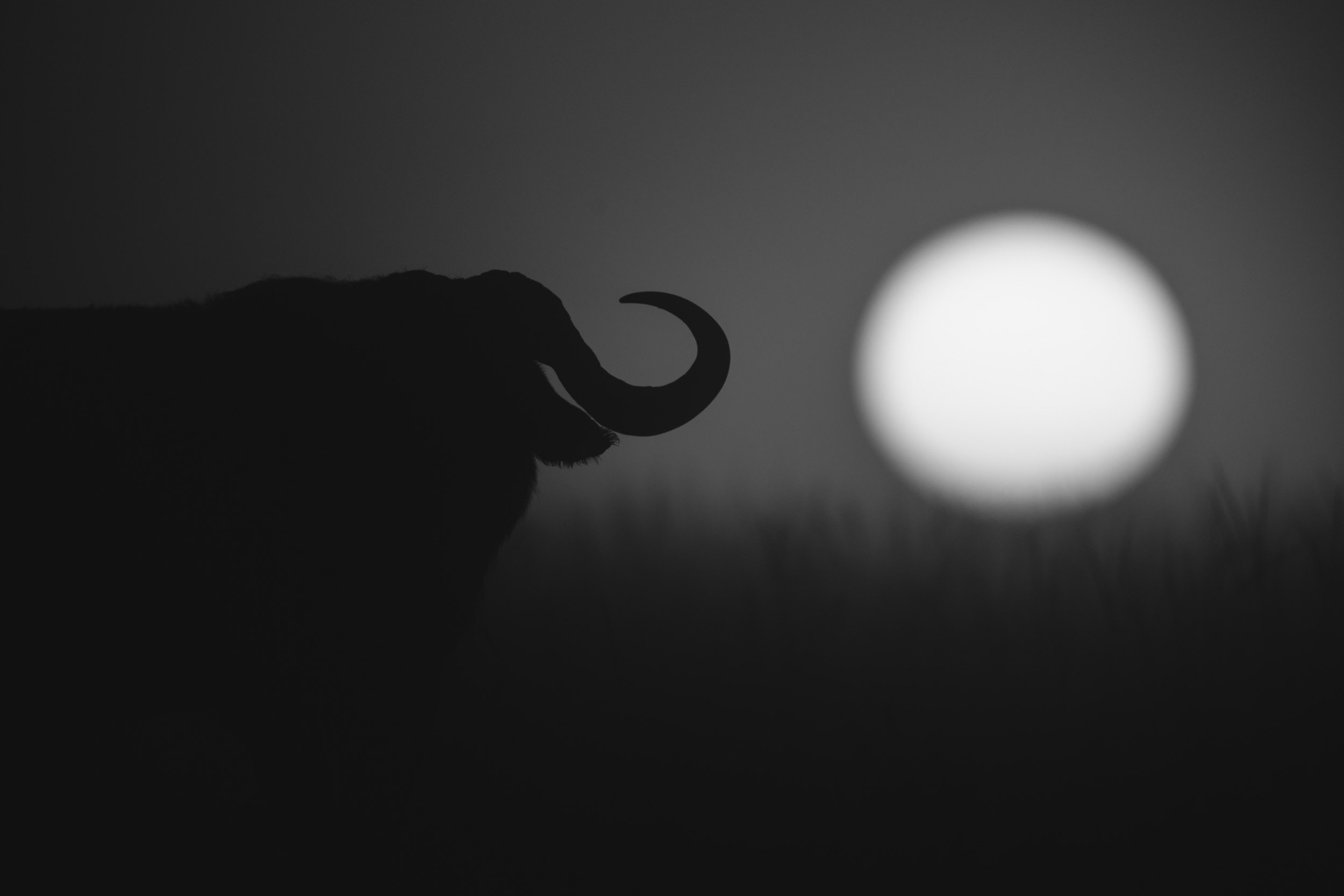 Horn of Africa - Mono.jpg
