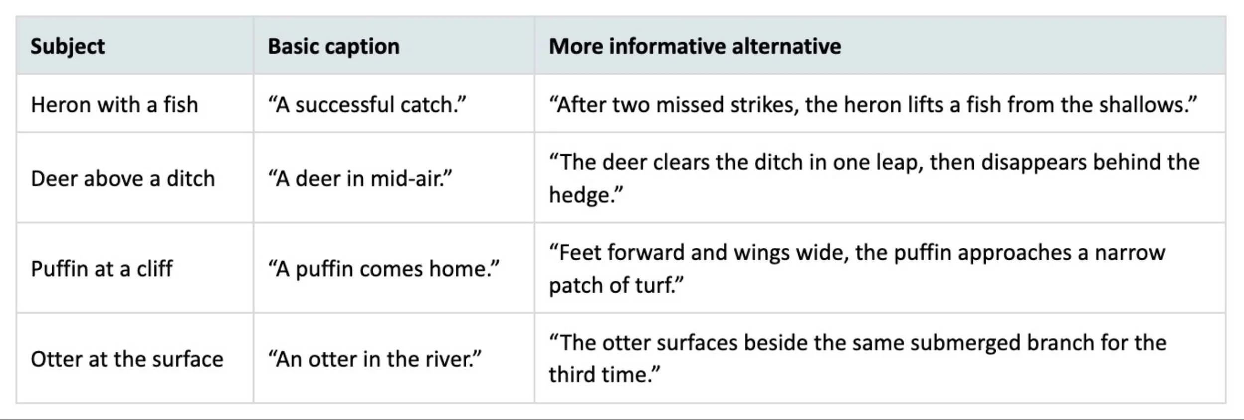 Table of basic and more informative captions