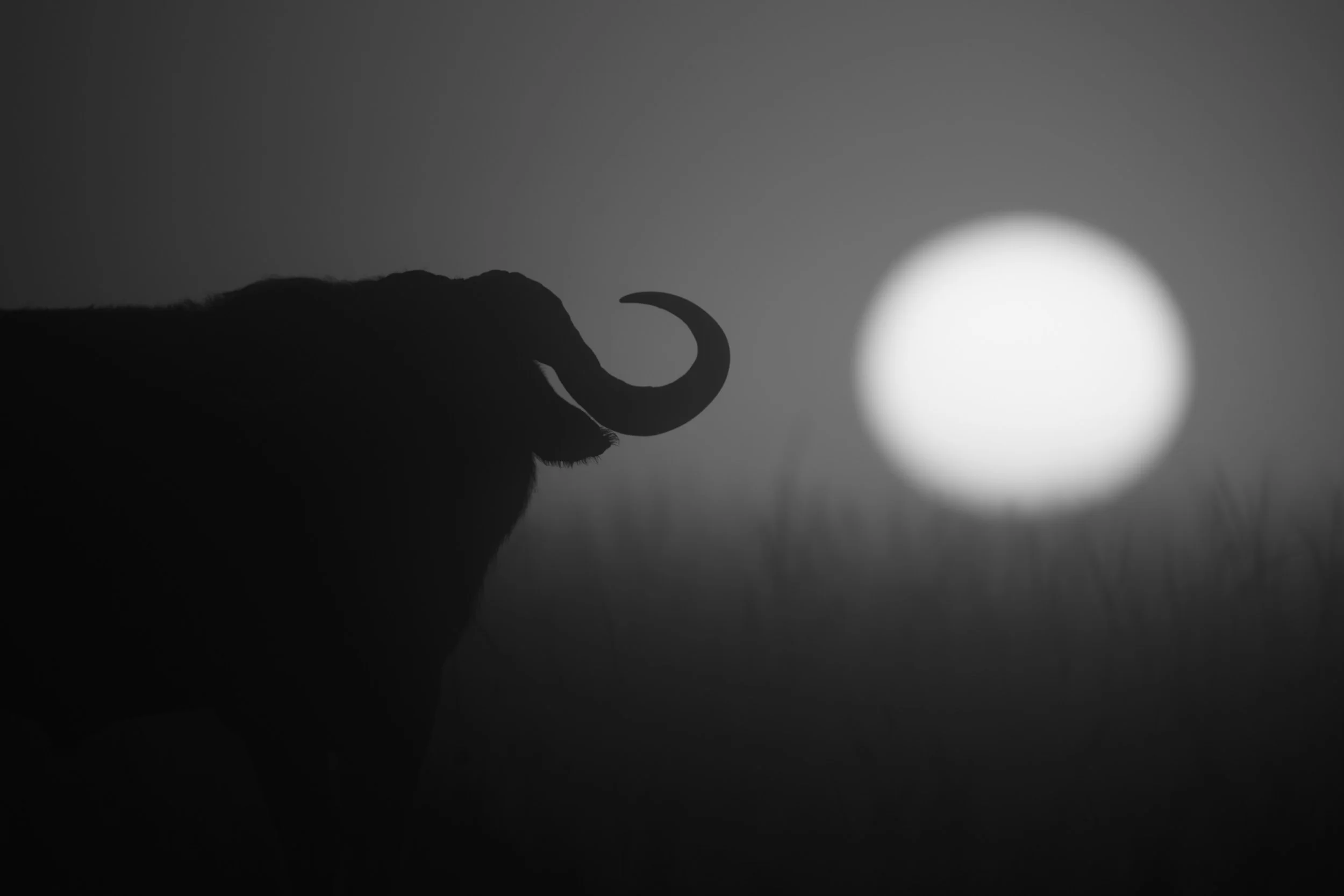 Horn of Africa.jpg