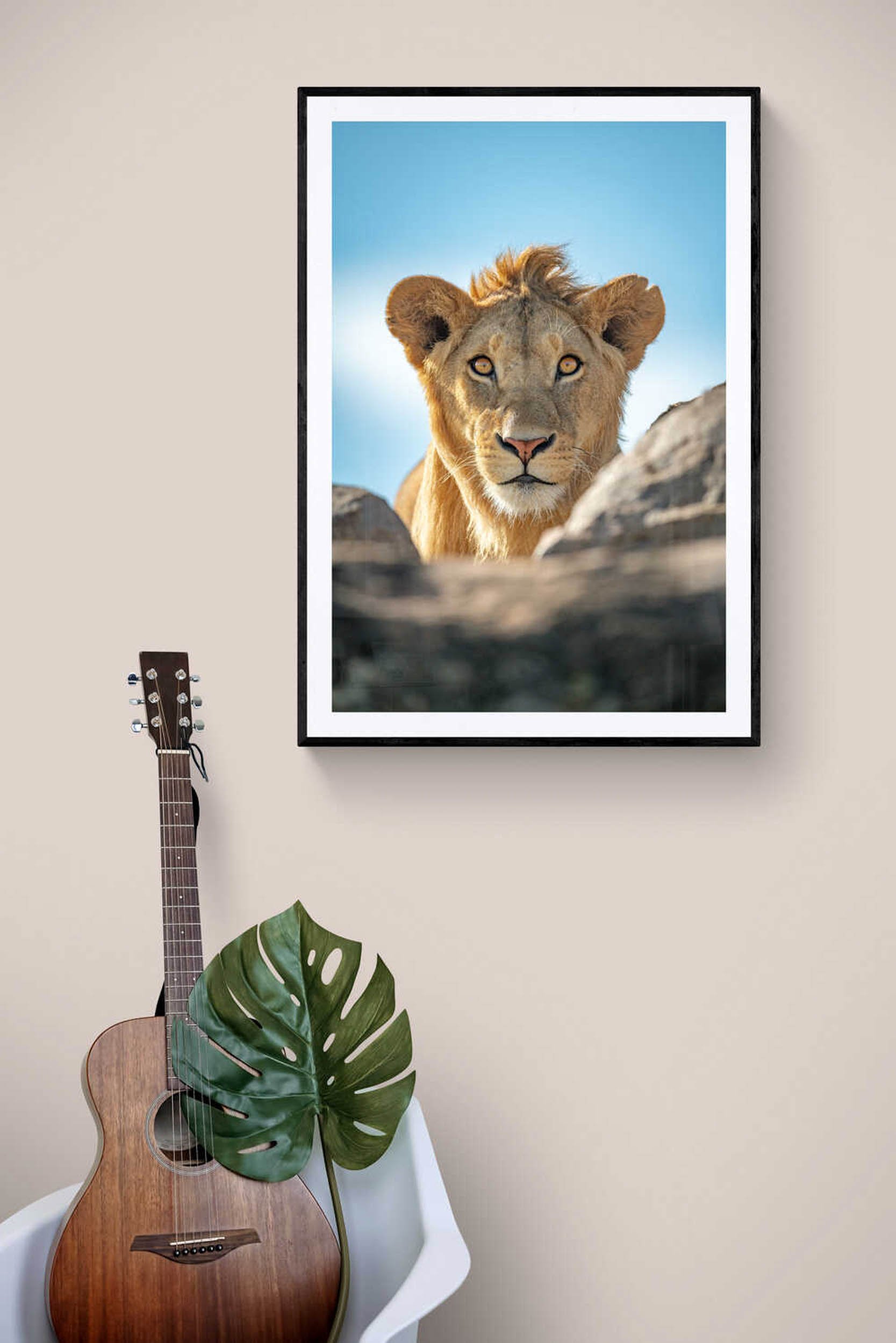 %22Give me a lion - on the rocks%22 VR.jpg