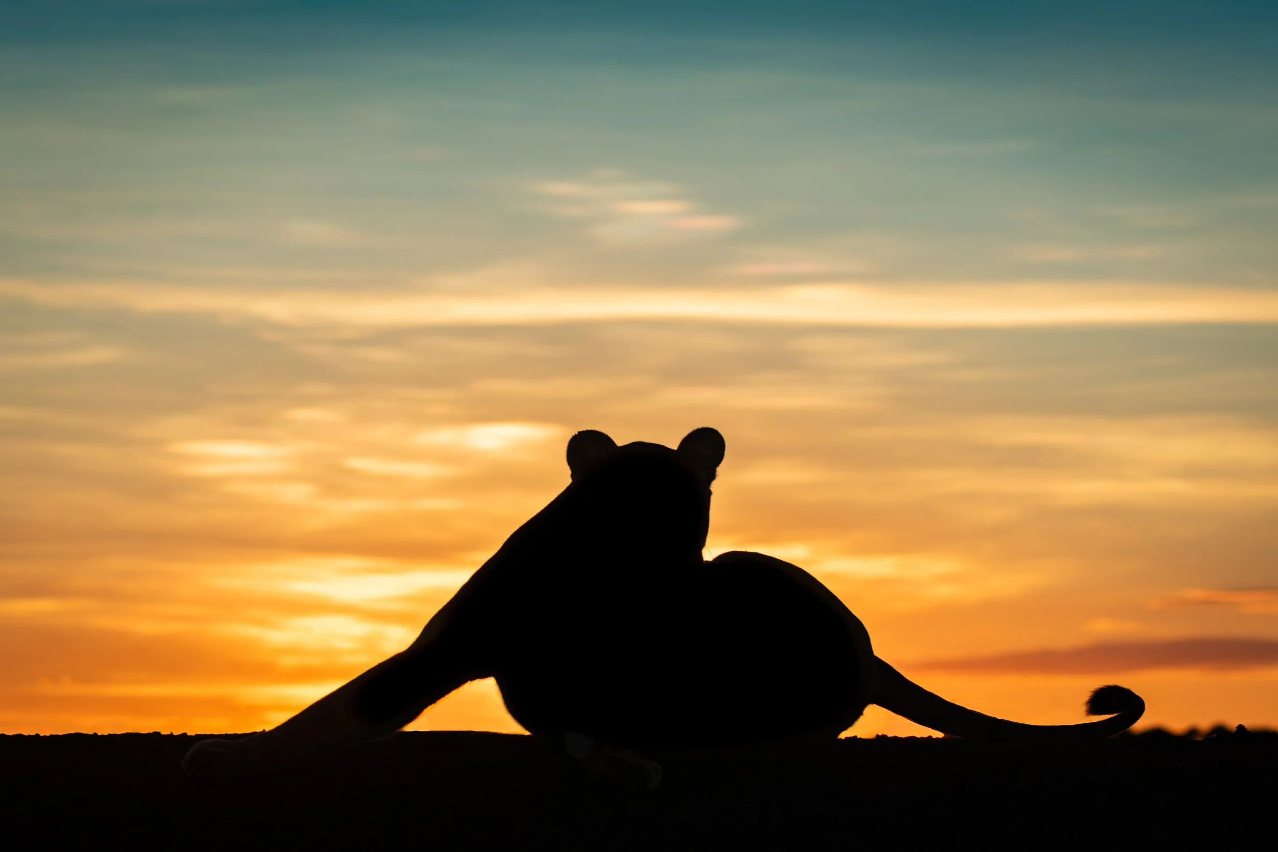 Dawn Yoga