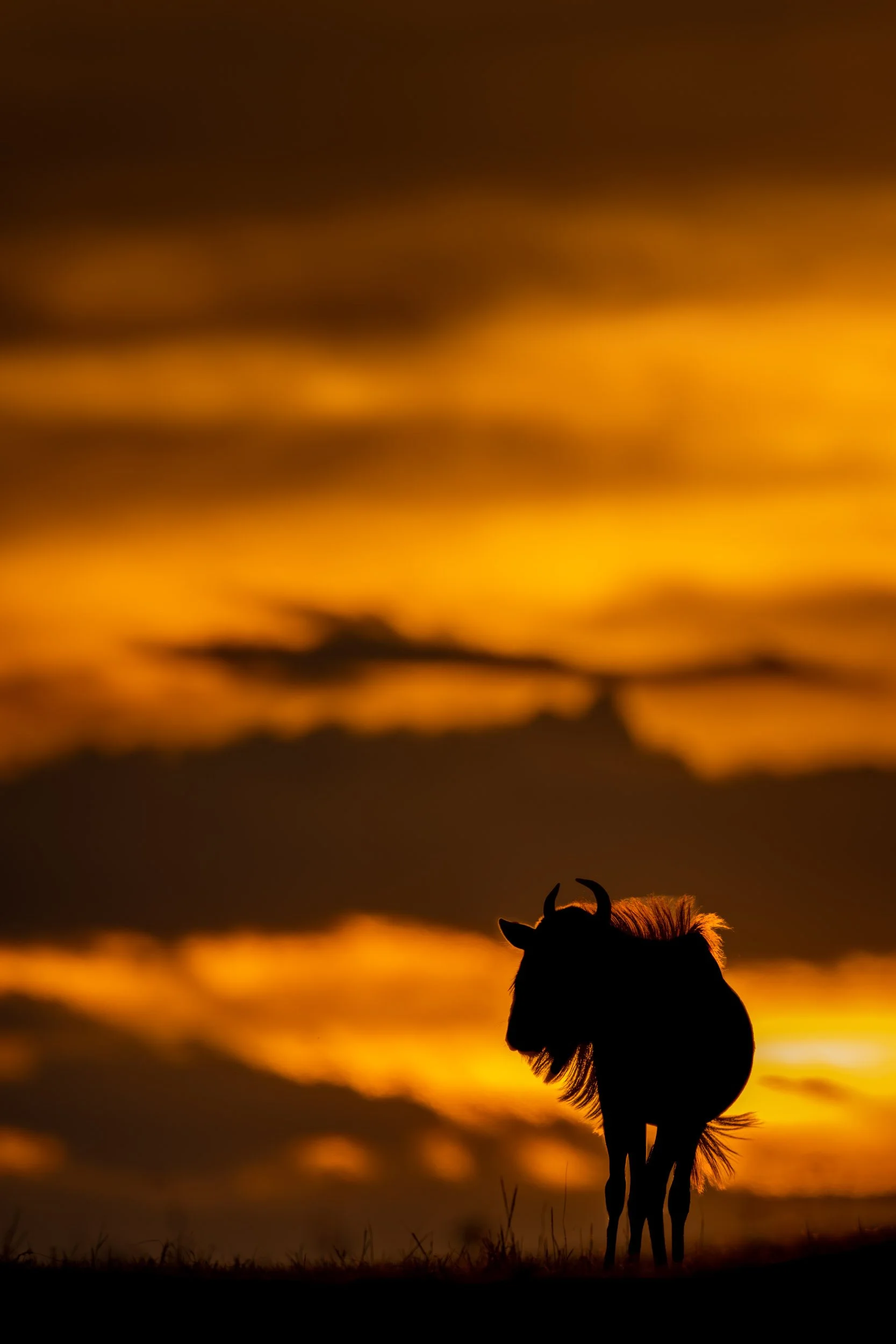 Gnu Horizon
