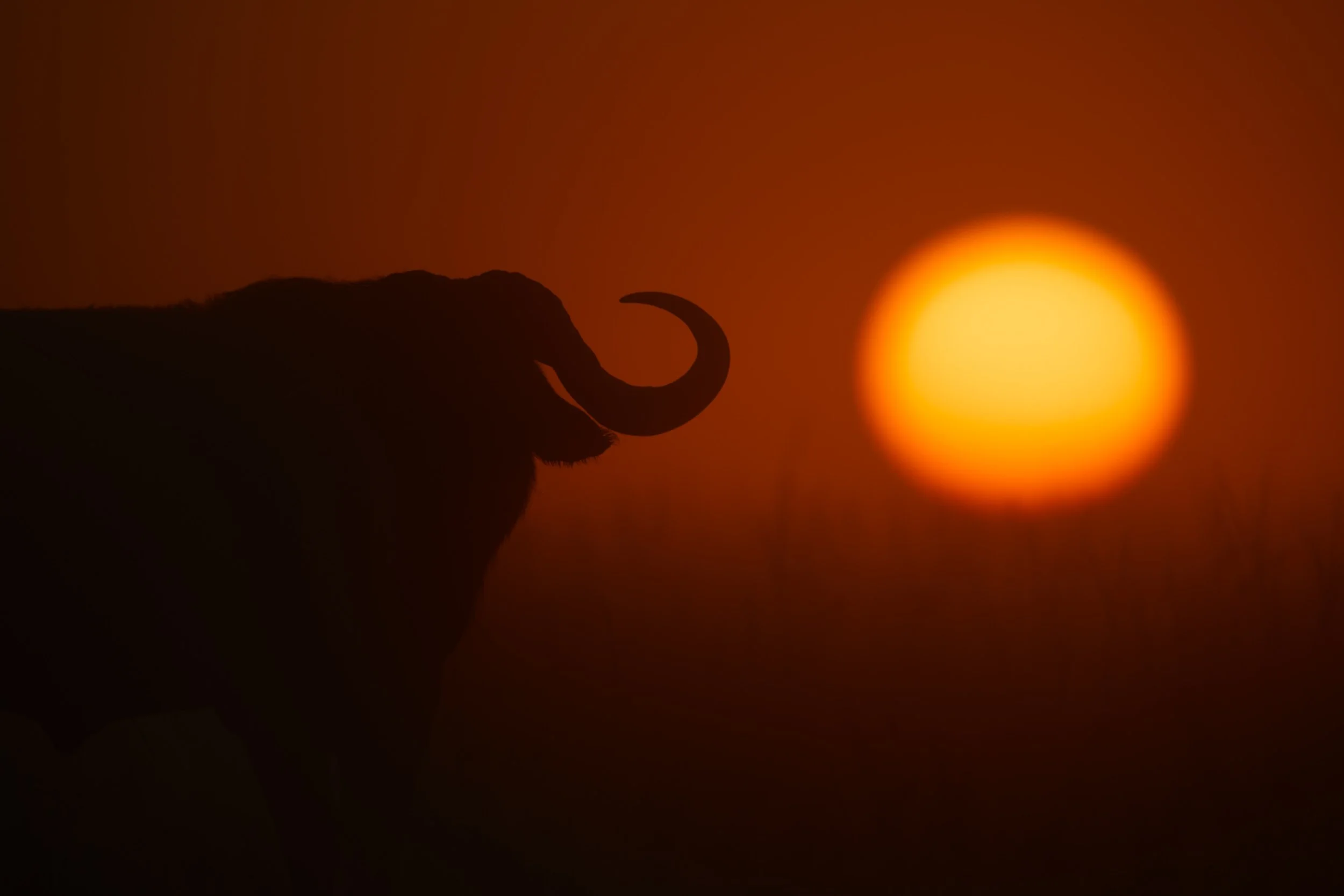 Horn of Africa
