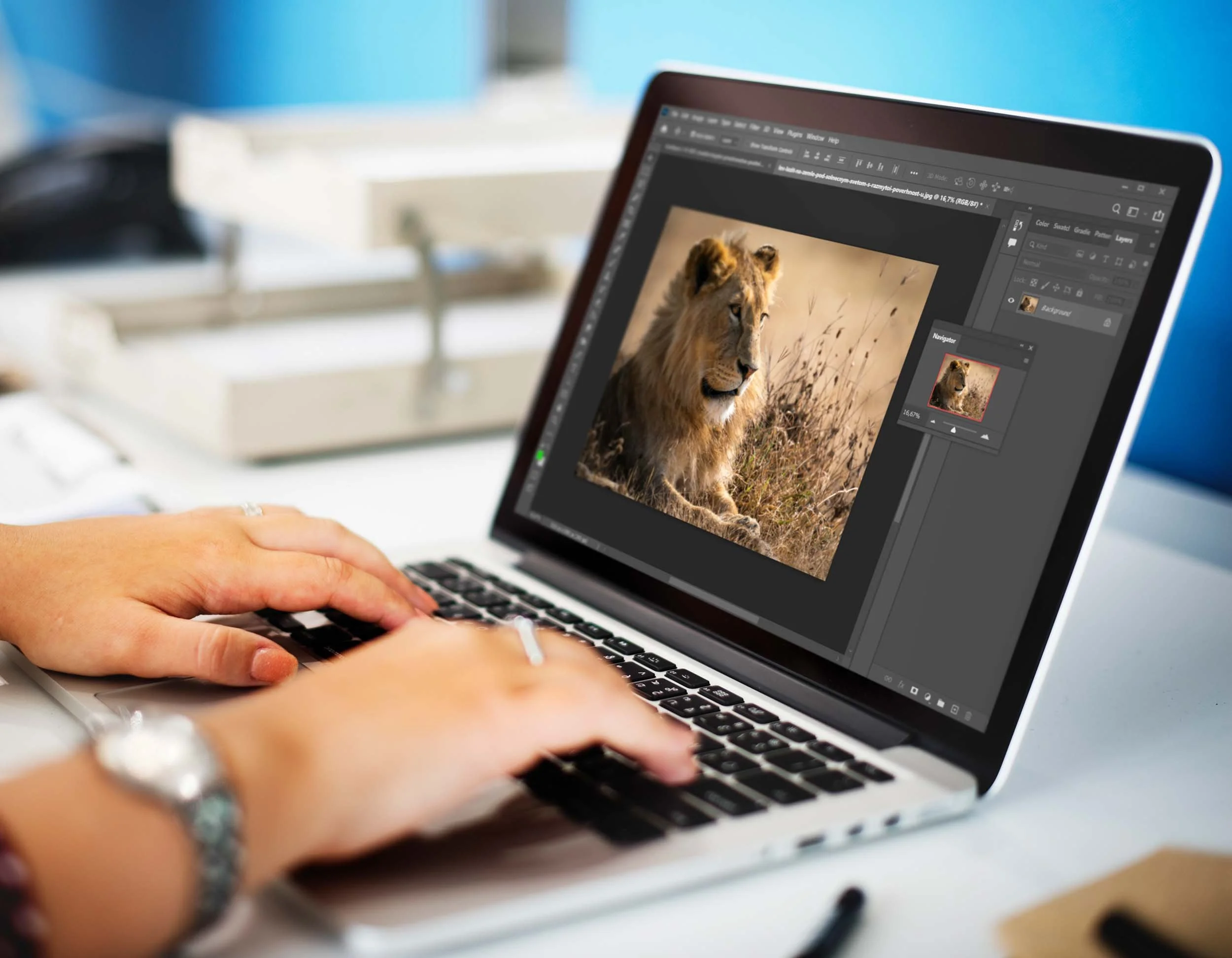 Top Wildlife Photo Editing Services Every Photographer Should Try in 2025