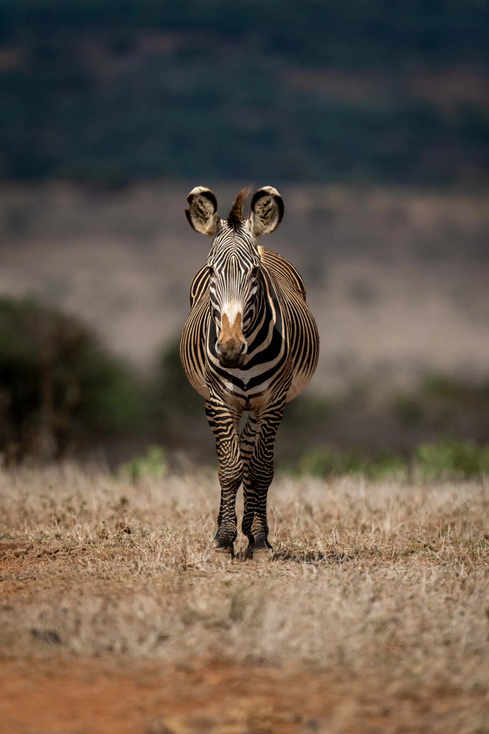 Watching You, Watching Me