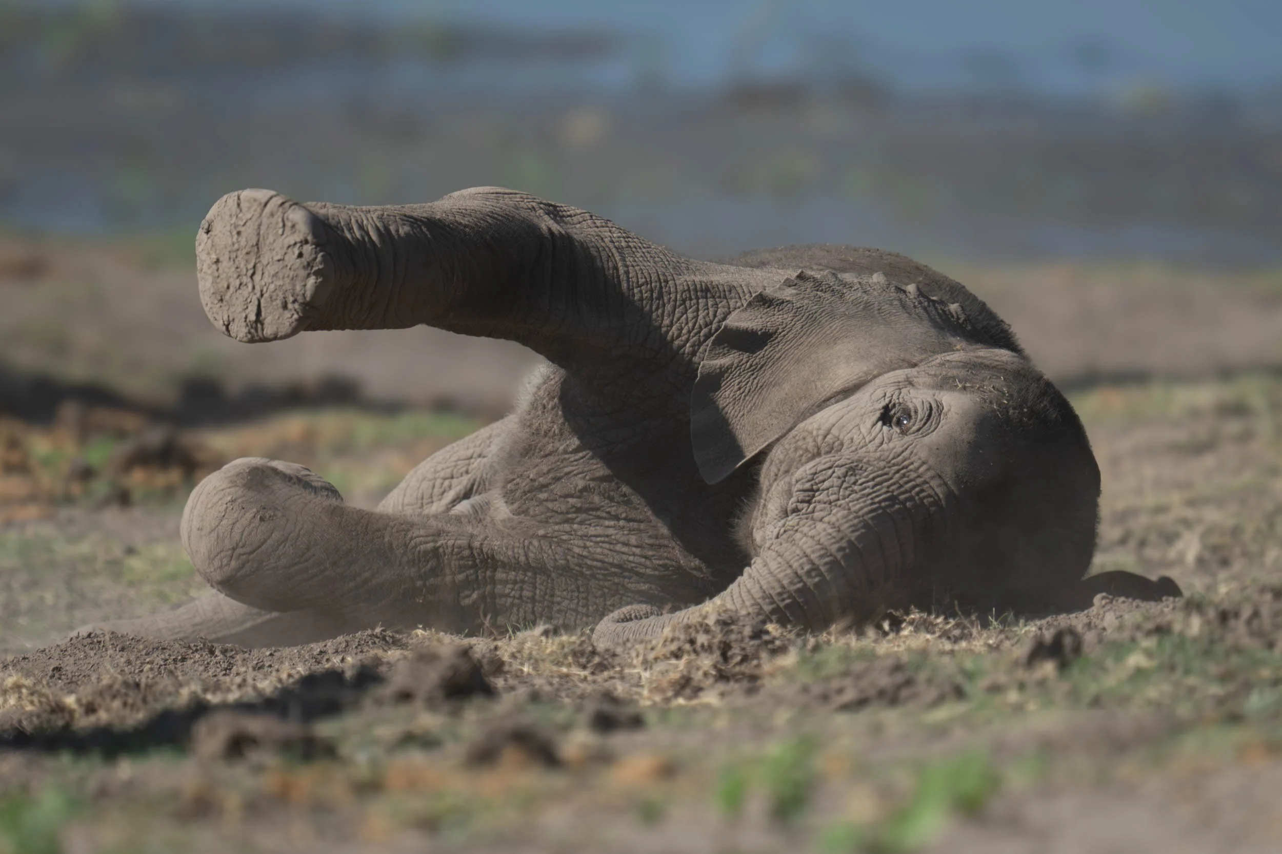 TENDERNESS