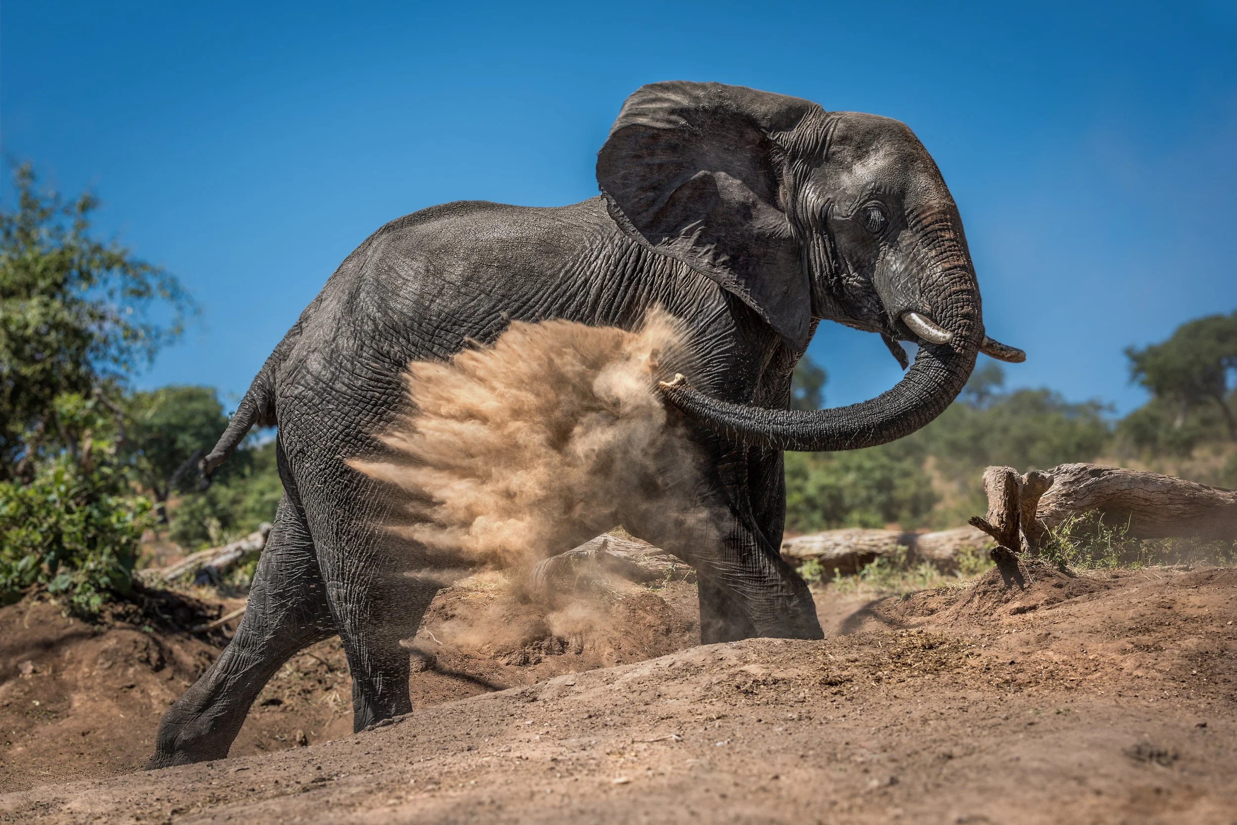 My Favourite Places: Muchenje