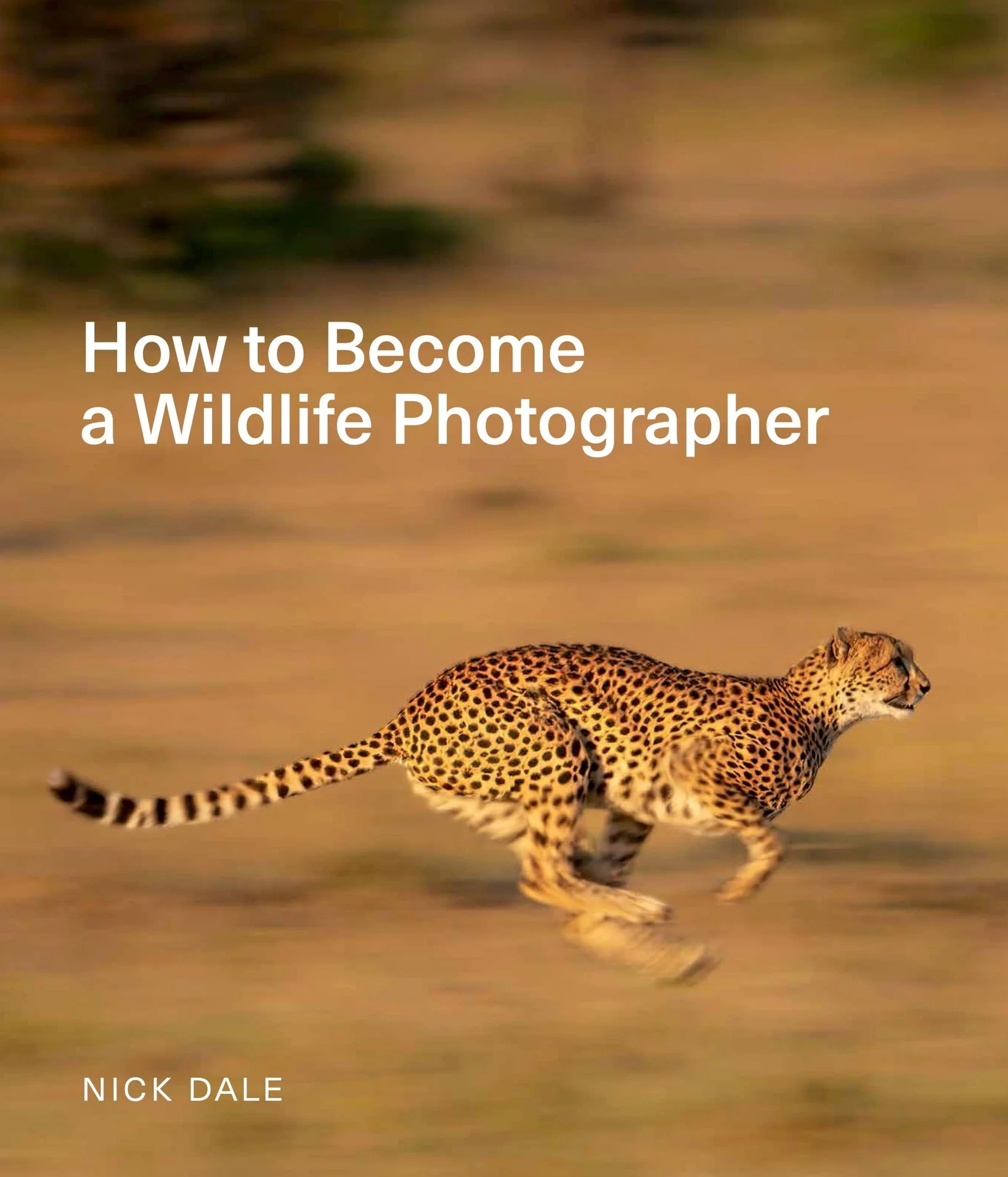 How to Become a Wildlife Photographer - Nick Dale.jpg