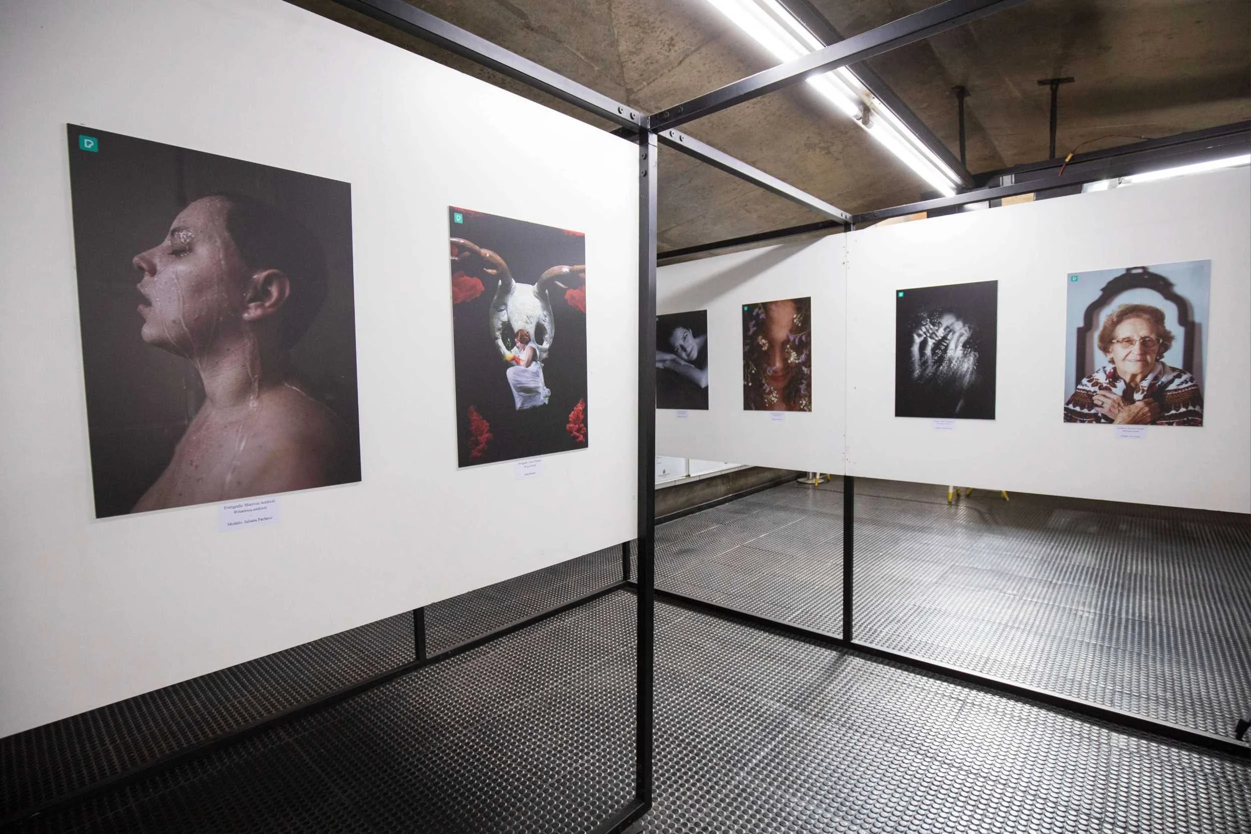 Photographic prints hanging on frames in art gallery