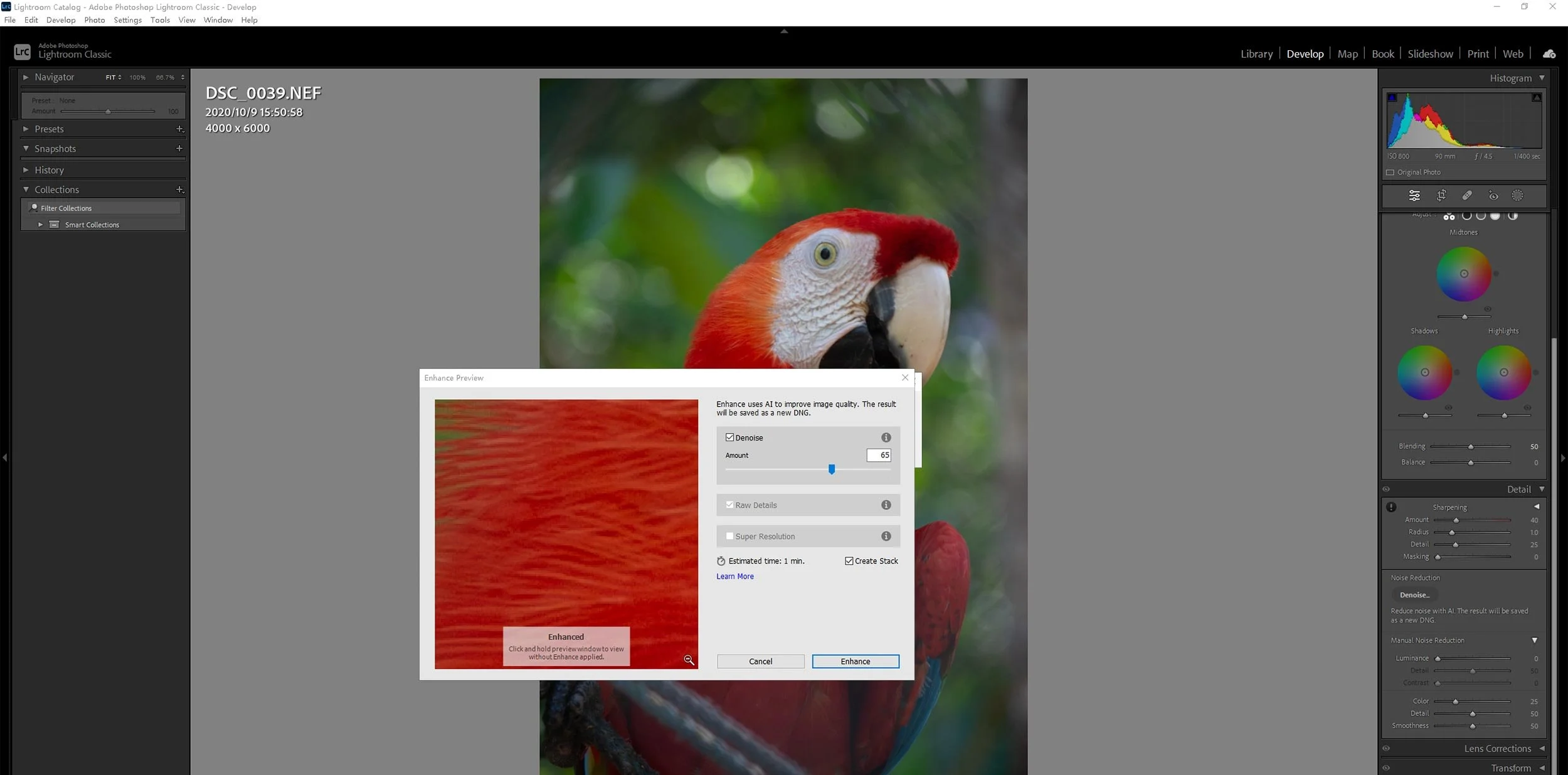 Remove noise from bird photos with Lightroom