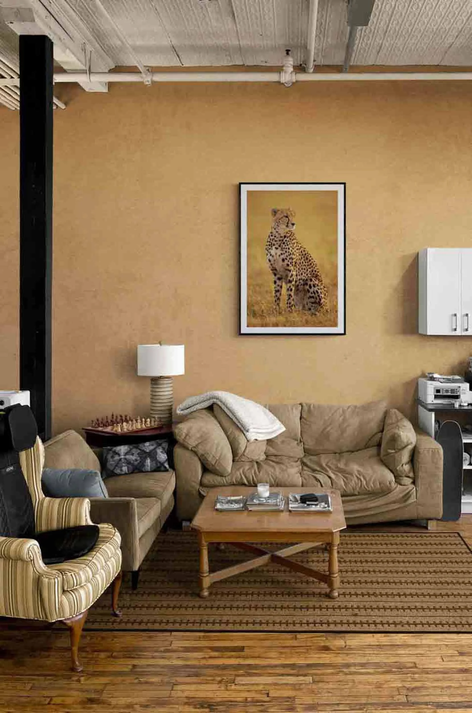 Cheetahs Never Win VR.jpg