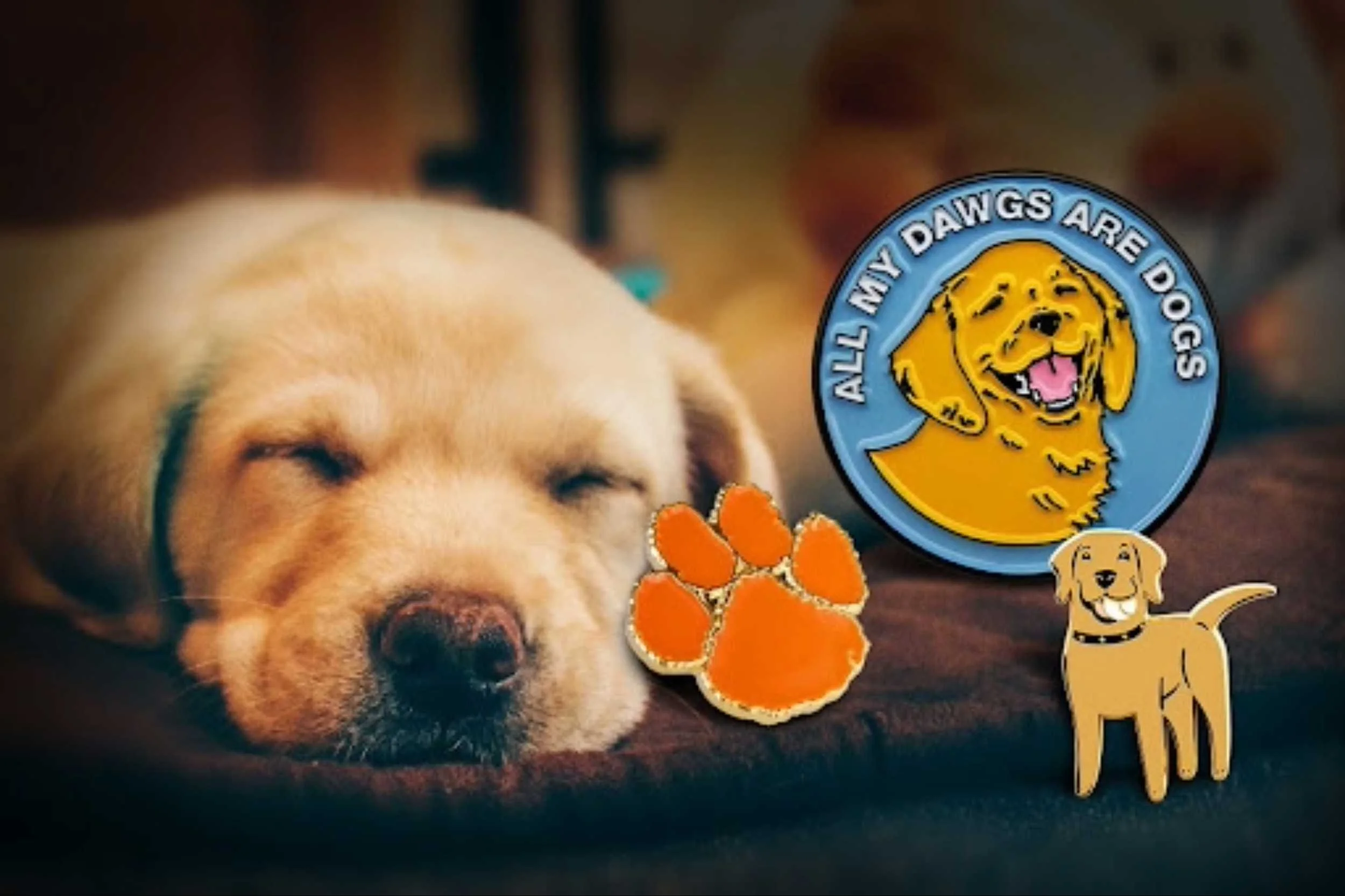 Puppy with an enamel pin