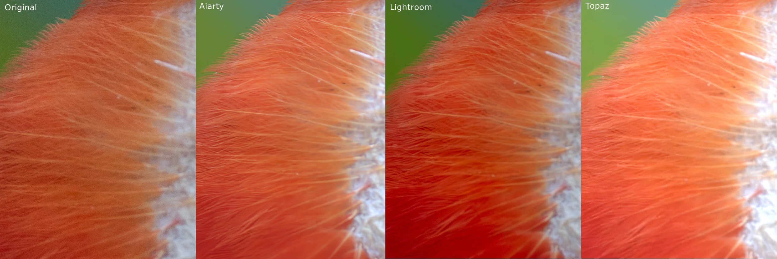 Test Raw photo original vs Aiarty vs Lightroom vs Topaz