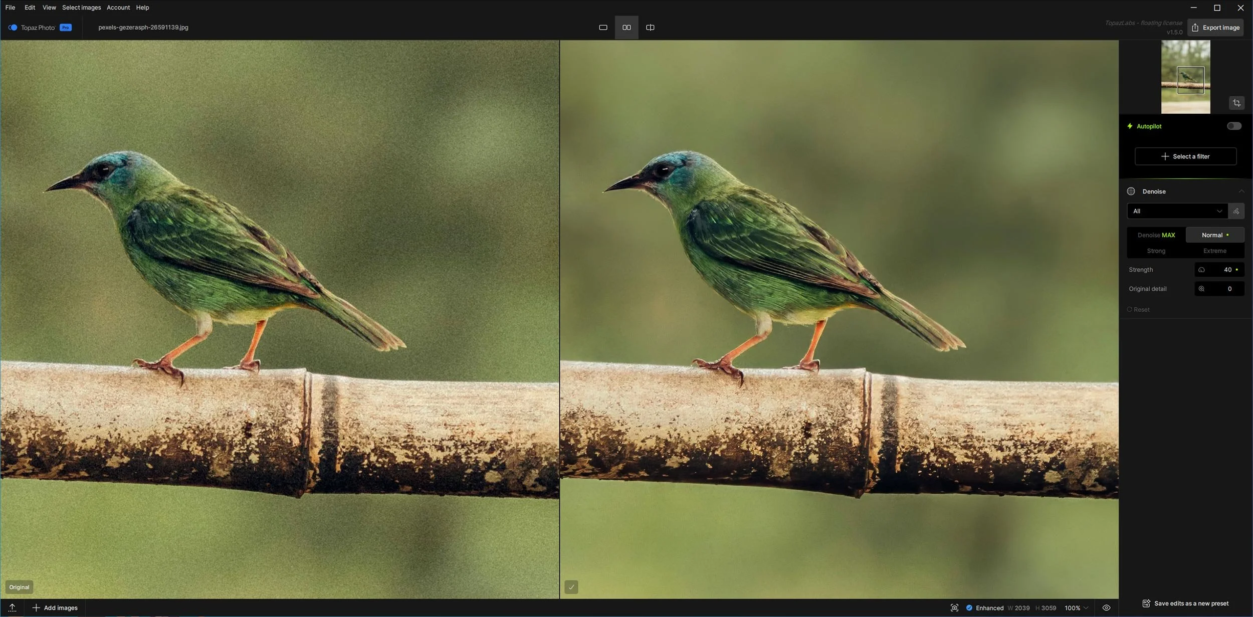 Remove noise from bird photos with Topaz