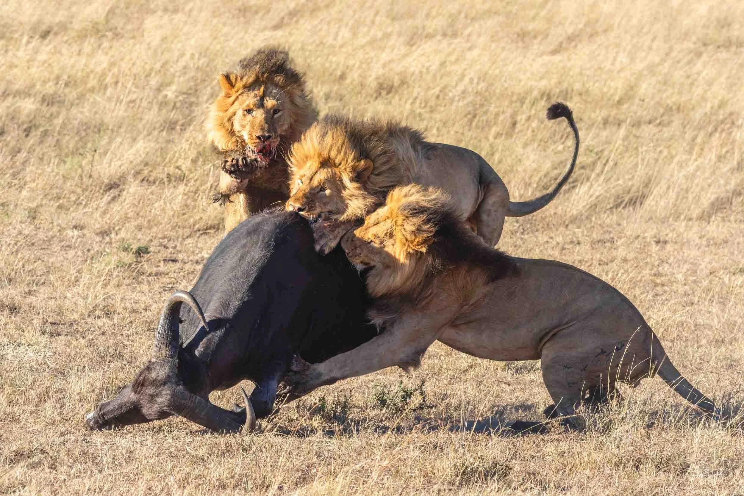 Three's a Crowd