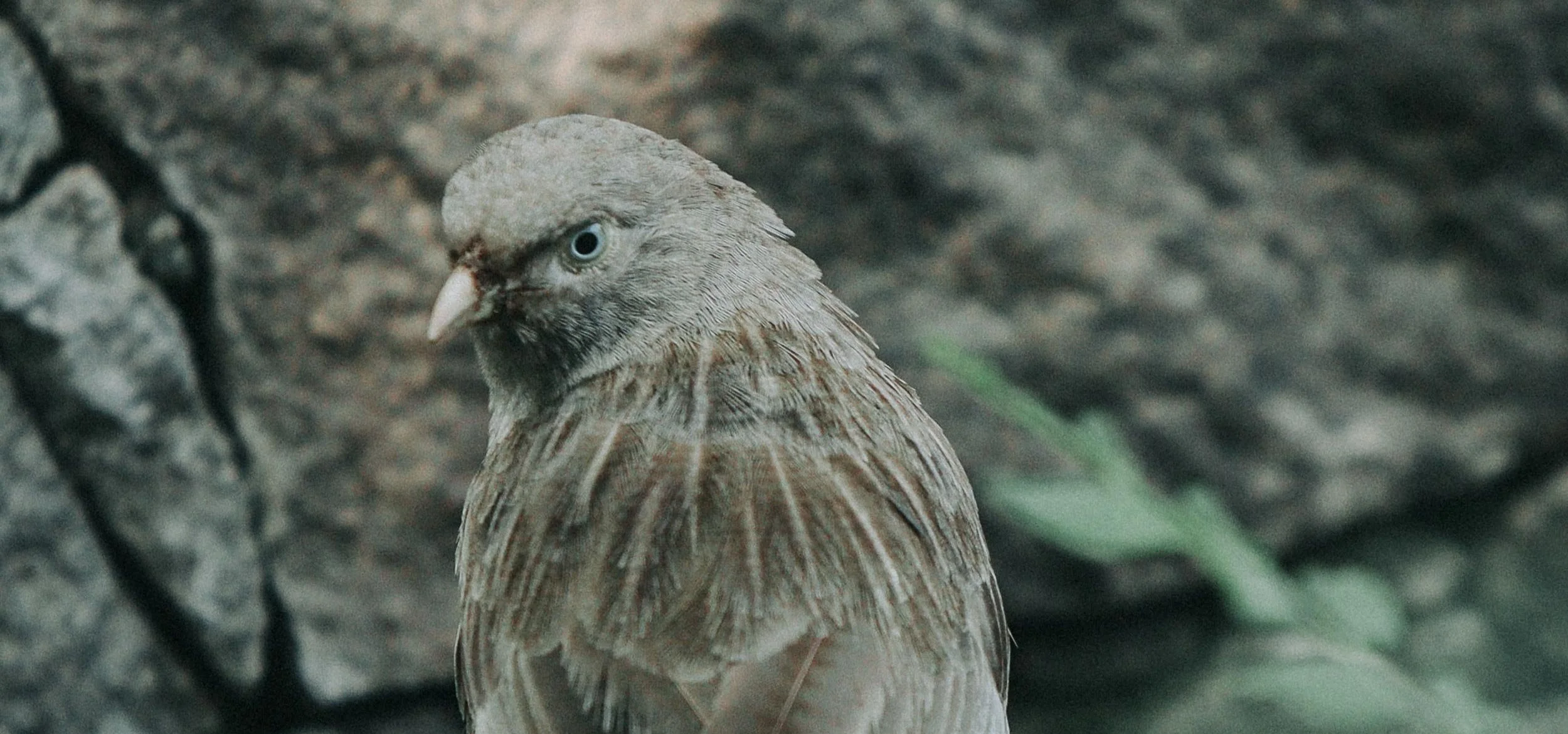 Test JPG original cropped
