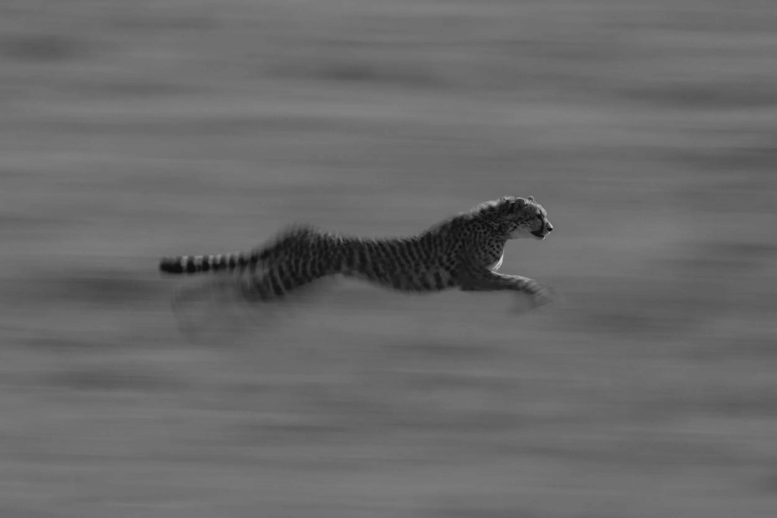 Panning for Gold - Mono.jpg