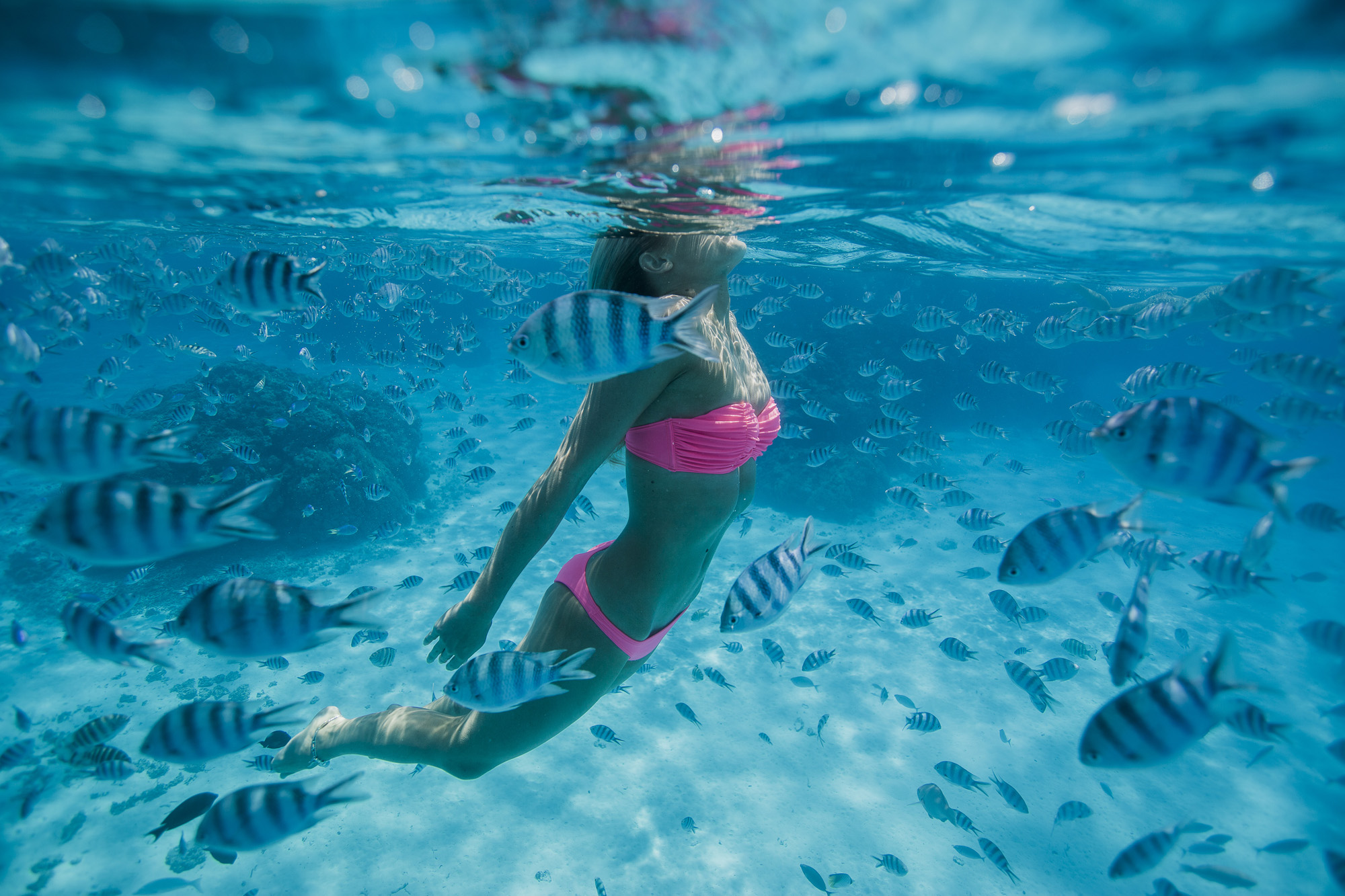 Elyse Knowles Bora Bora Billabong.jpg