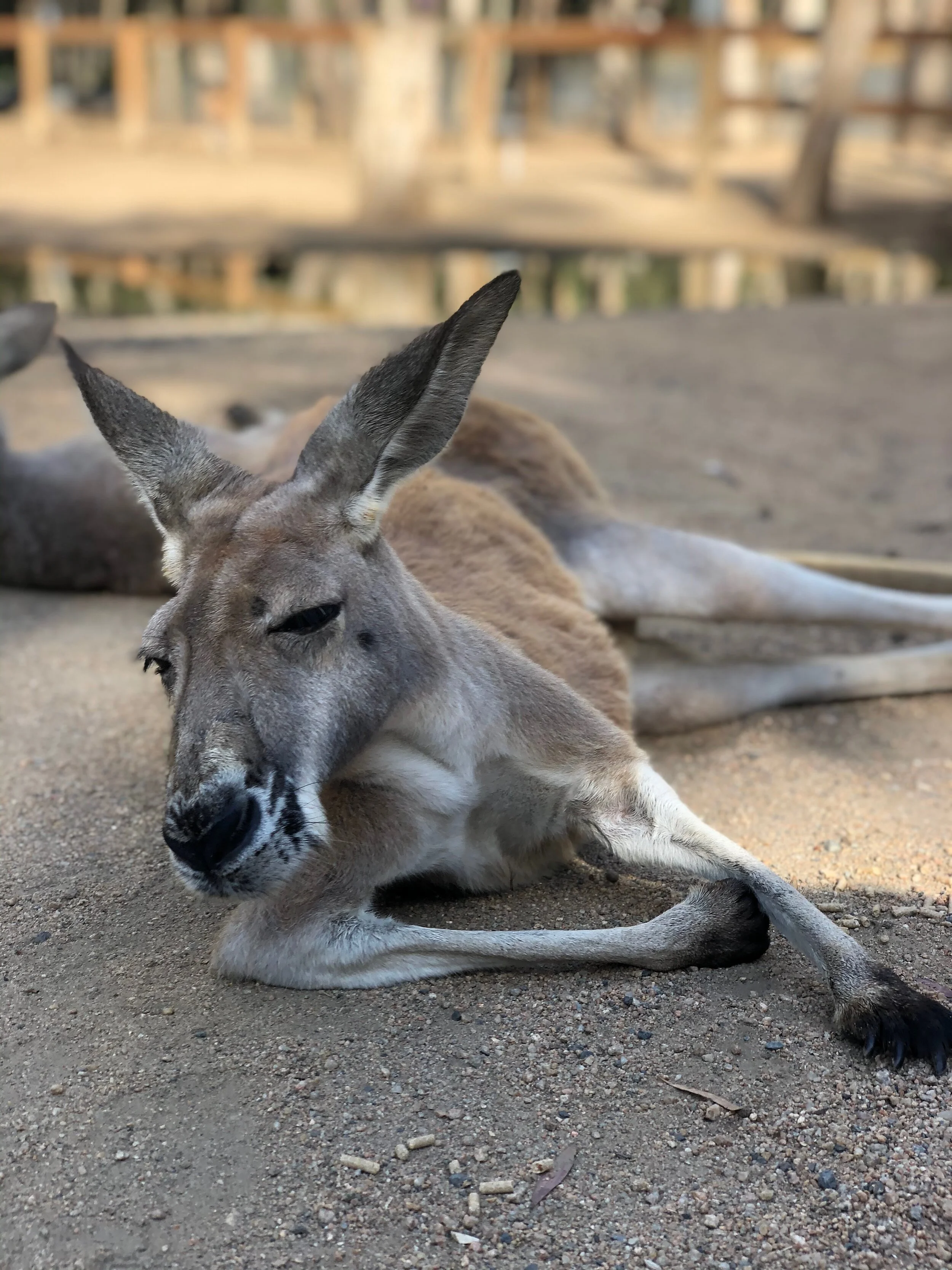 ELYSE KNOWLES - MARIE CLAIRE FEB 2020 8.jpeg