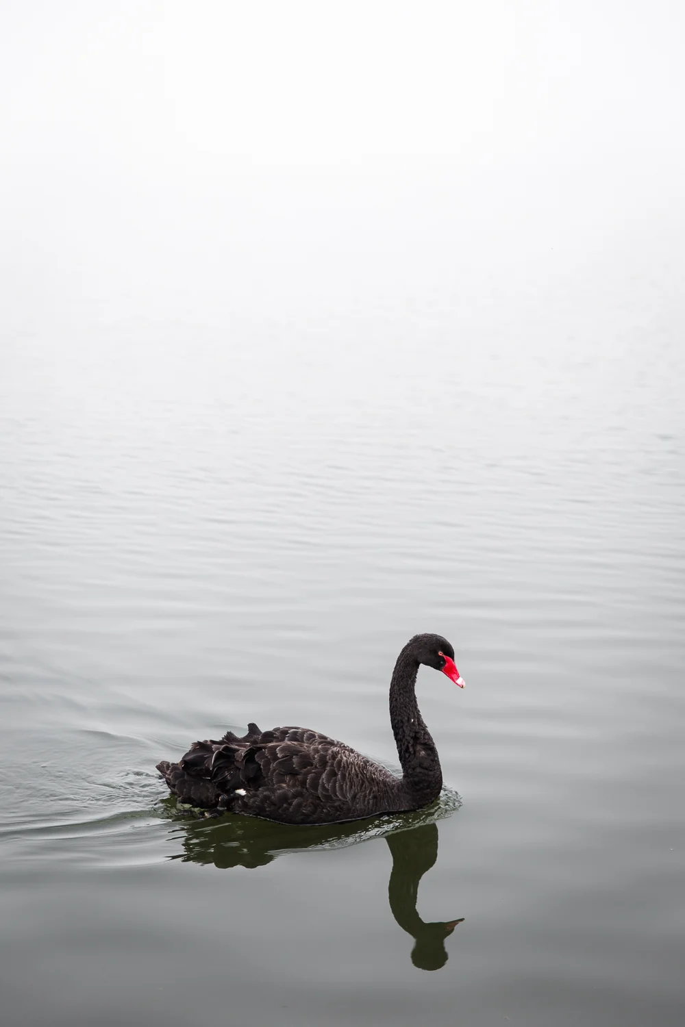 Lean+Timms+Canberra+Fog+(14+of+21).jpg