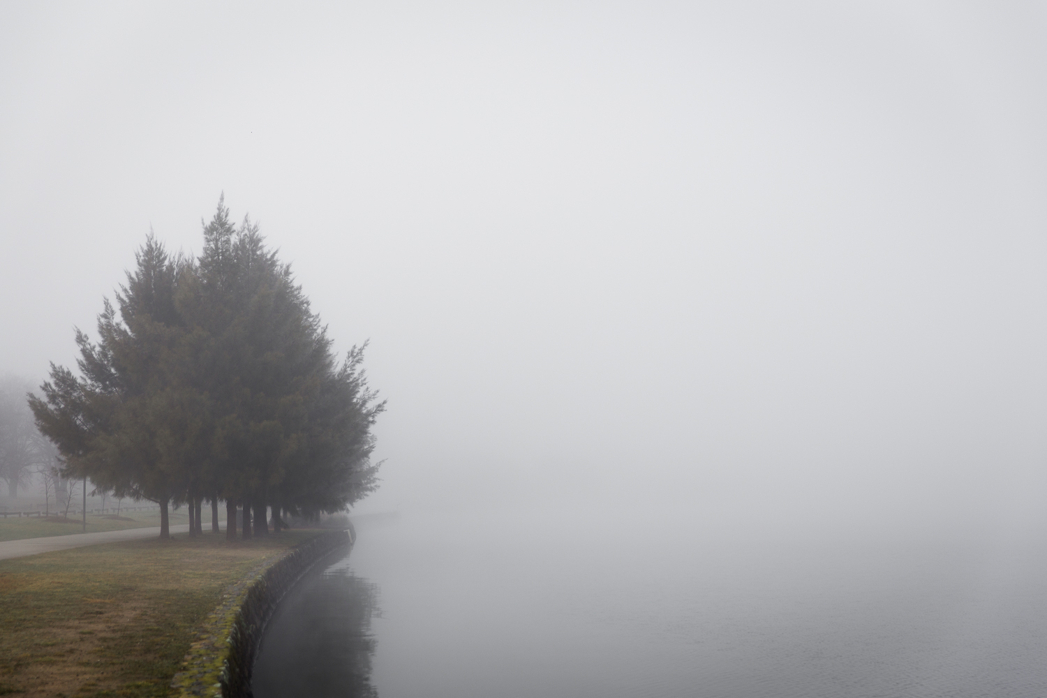 Lean+Timms+Canberra+Fog+(12+of+21).jpg
