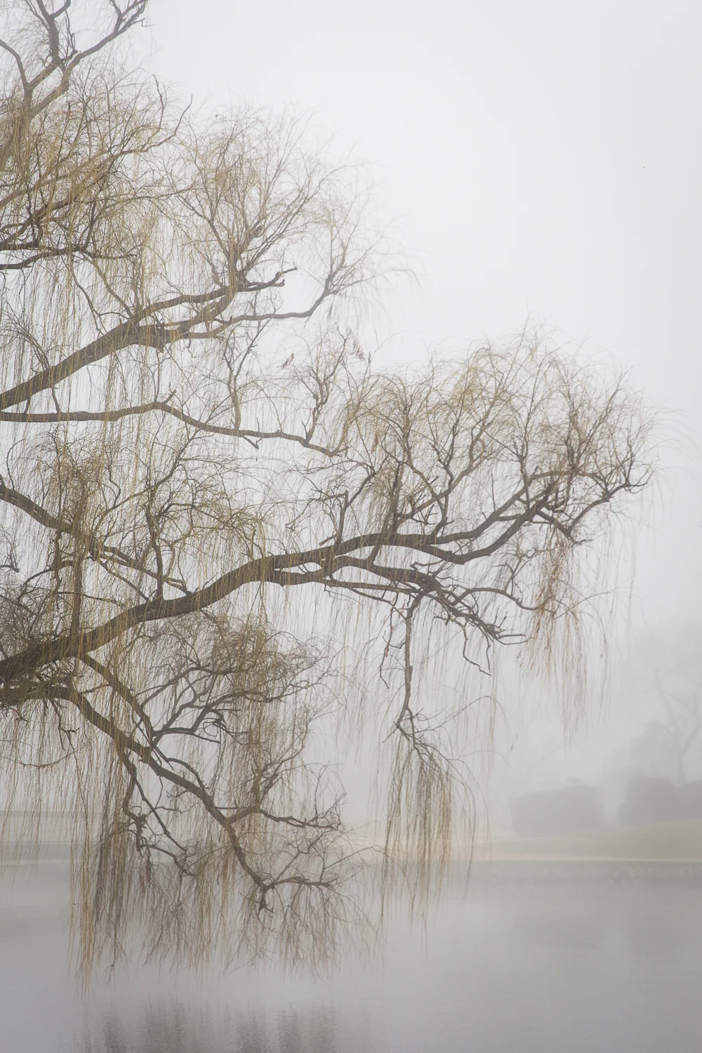 Lean+Timms+Canberra+Fog+(7+of+21).jpg
