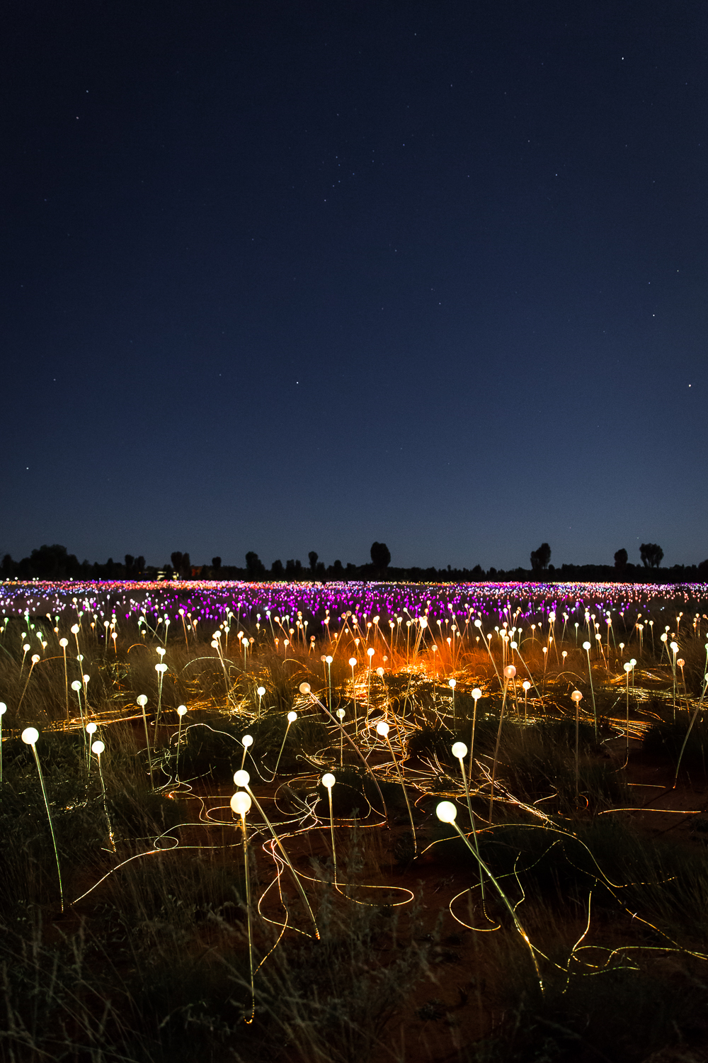 Lean+Timms+Uluru++(18+of+57).jpg