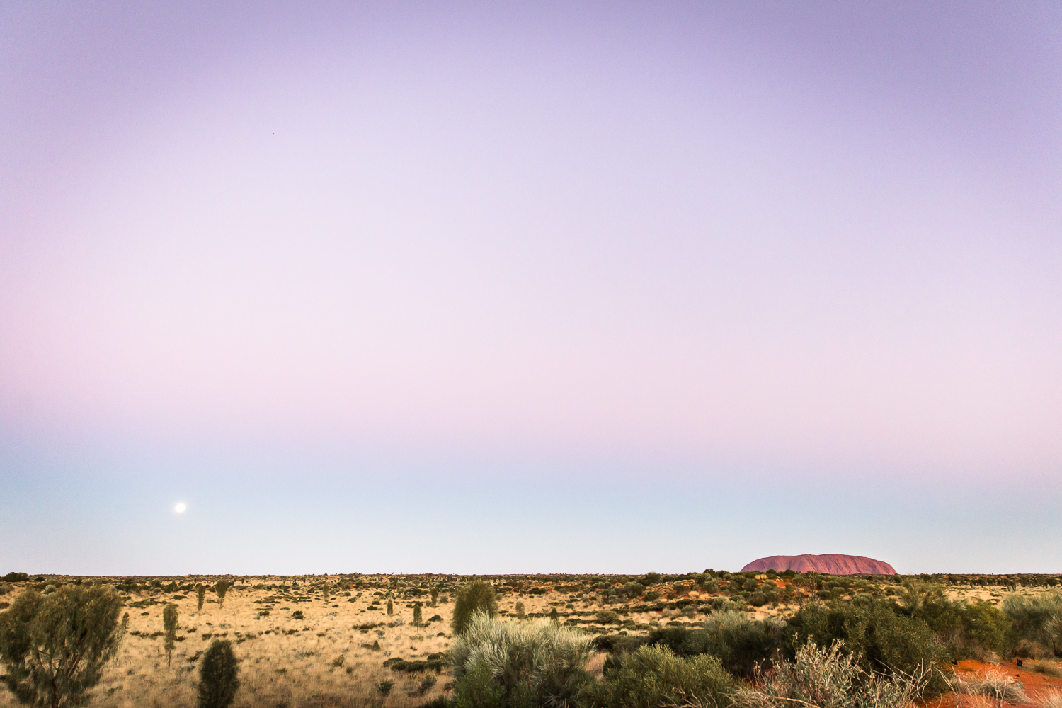 Lean+Timms+Uluru++(51+of+57).jpg