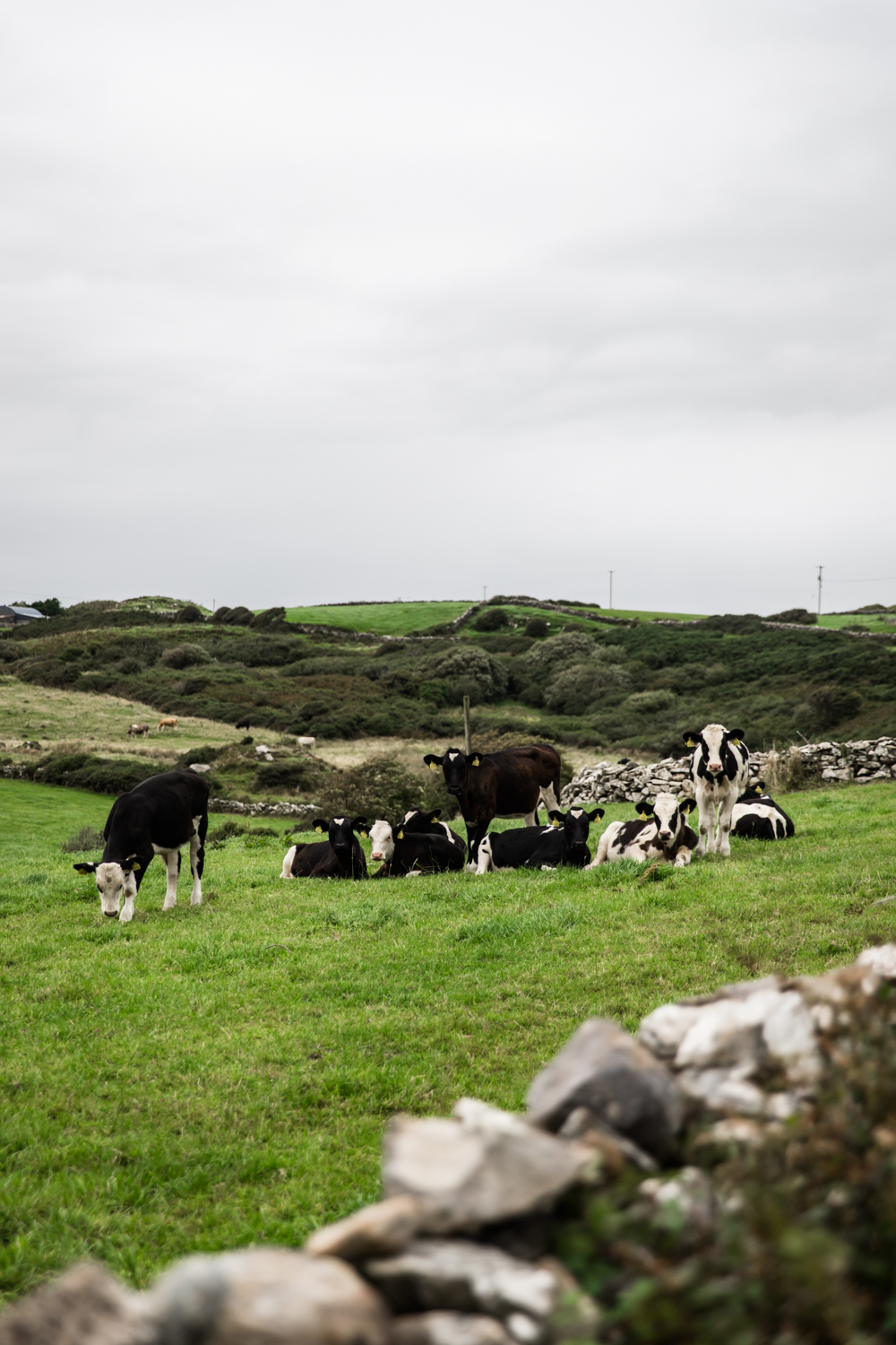 Ireland West Coast Lean Timms (4 of 45).jpg