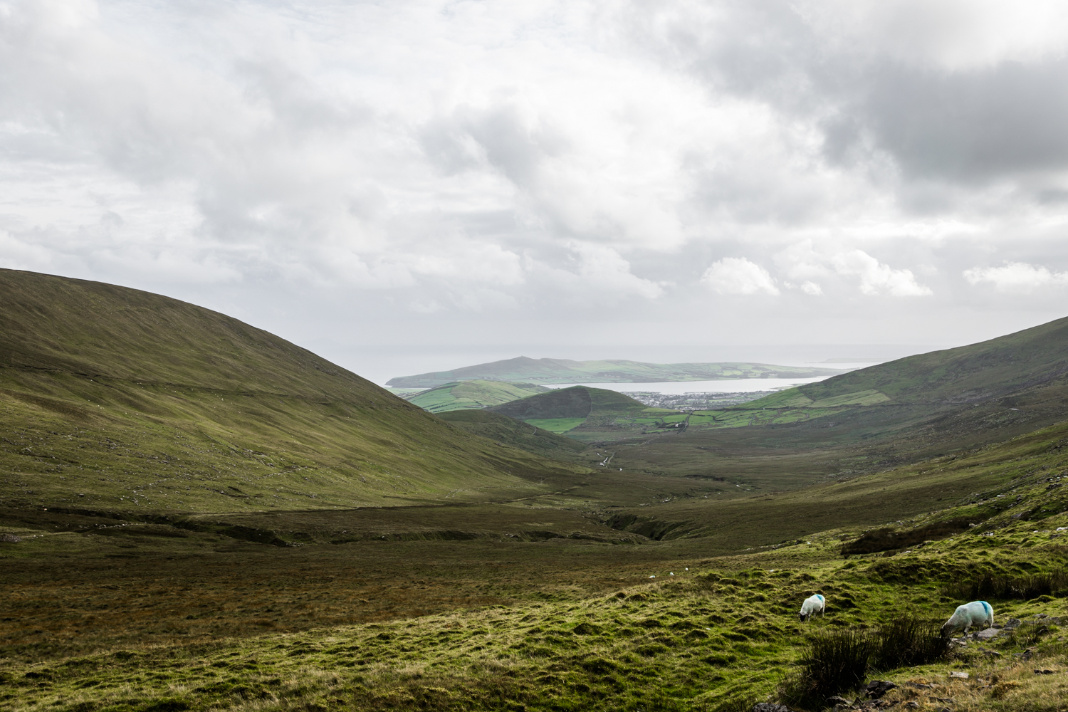 Ireland West Coast Lean Timms (44 of 45).jpg