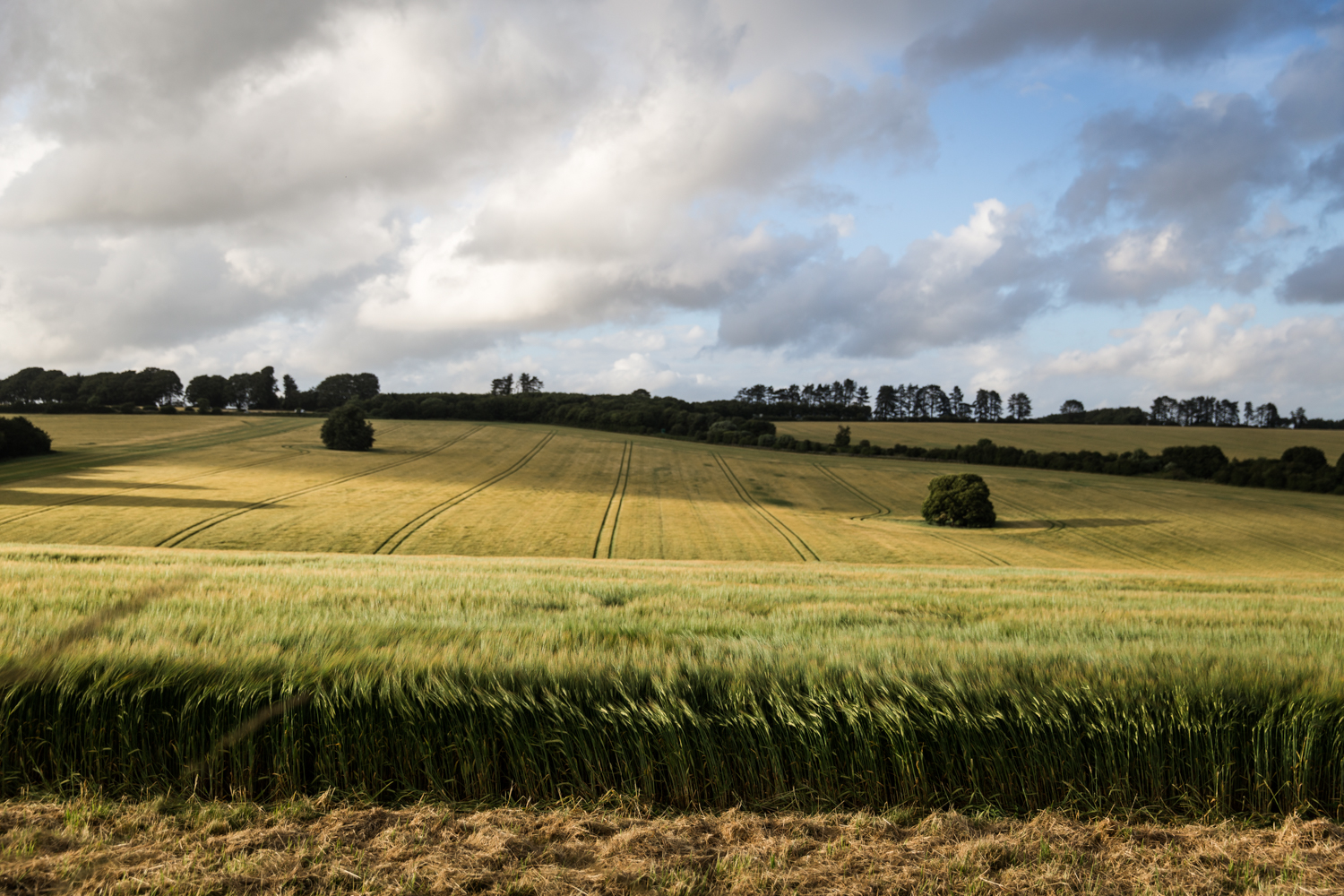 England Autumn Lean Timms (4 of 11).jpg