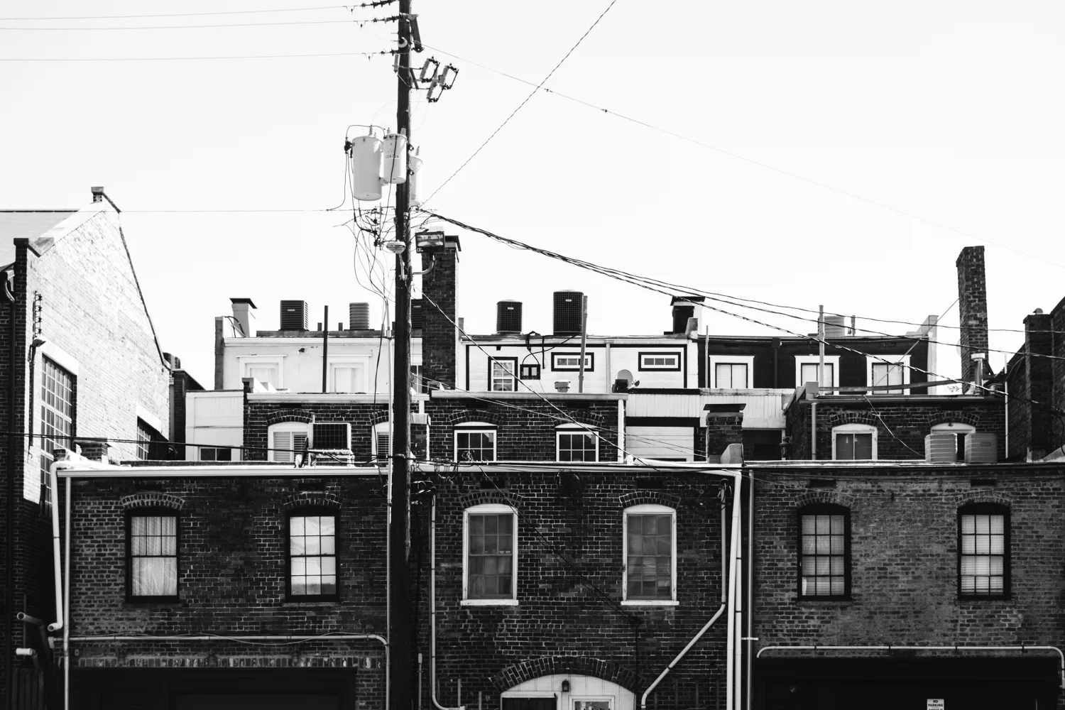 Savannah Lean Timms (7 of 41).jpg