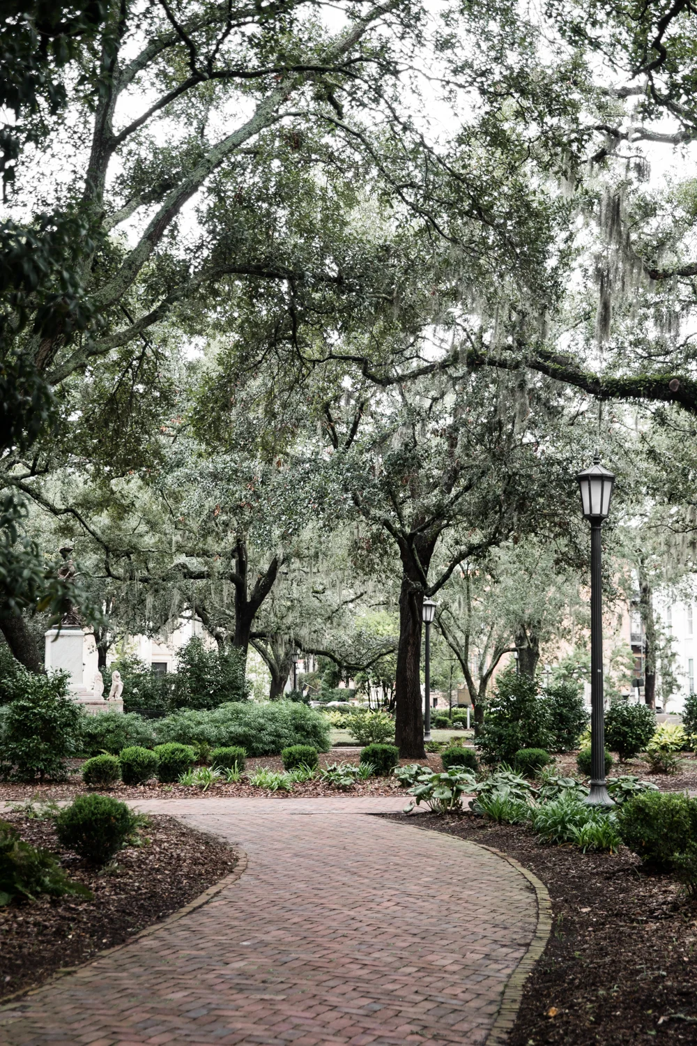 Savannah Lean Timms (29 of 41).jpg