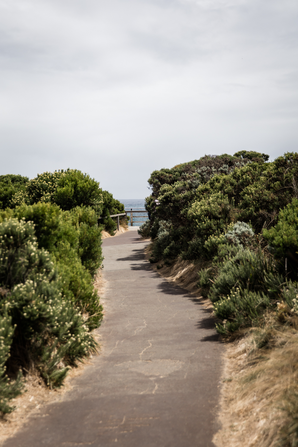 Lean Timms Great Ocean Road  (5 of 17).jpg