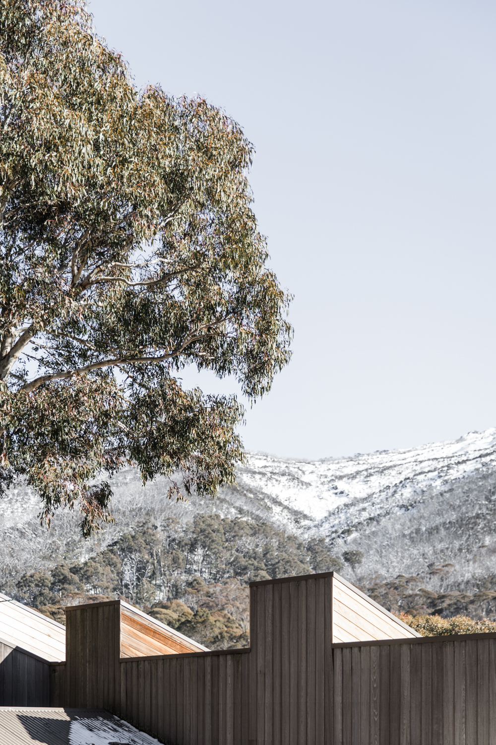 The Eastern Thredbo Lean Timms LR (105 of 123).jpg