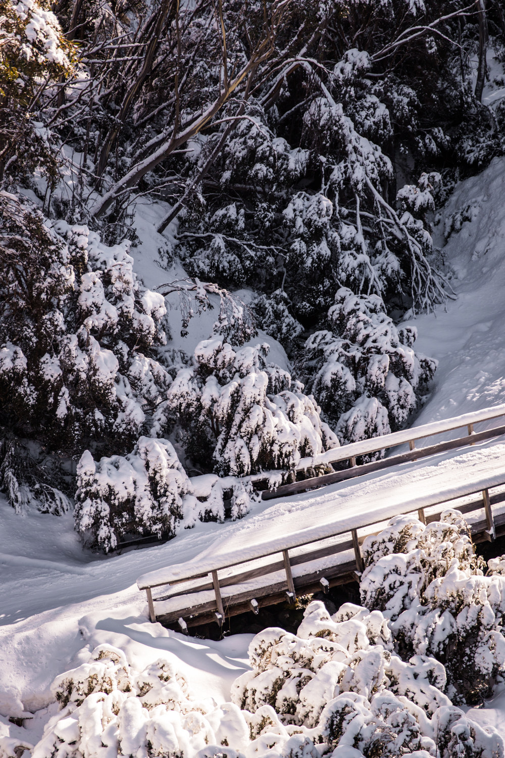 The Eastern Thredbo Lean Timms LR (111 of 123).jpg