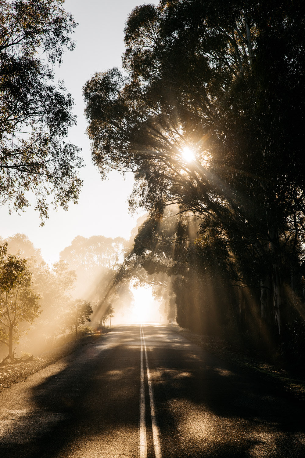 nsw | australia