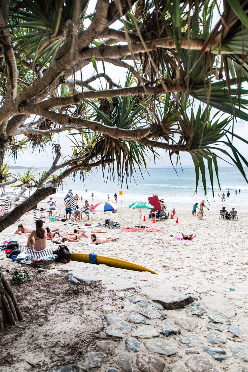 noosa | australia