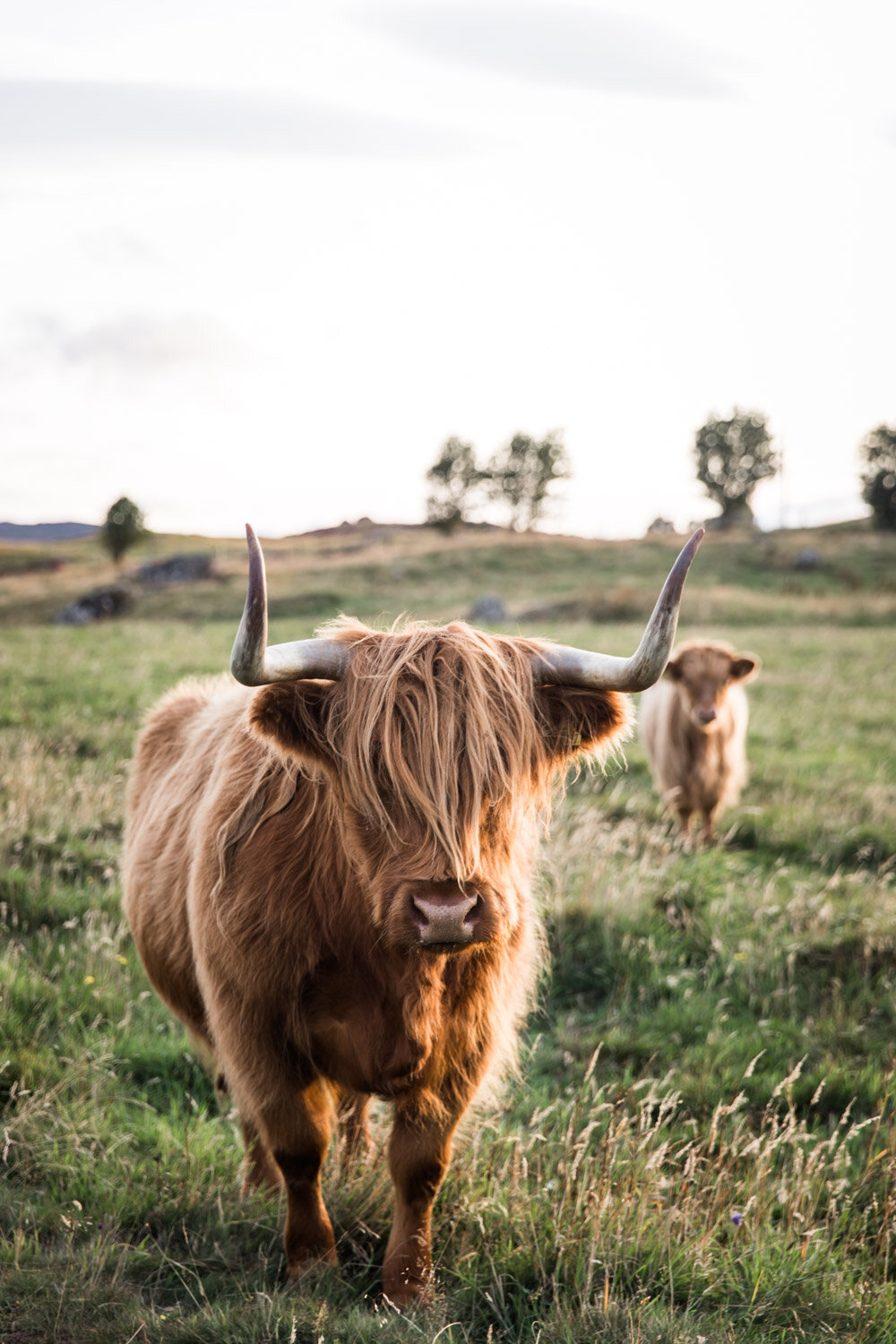 highlands | scotland