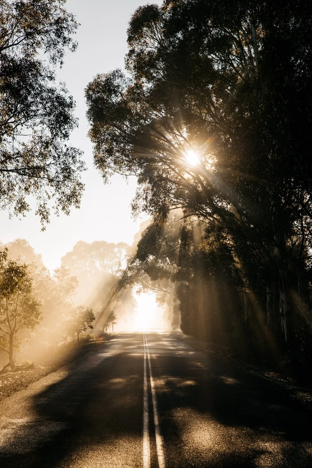 Australian+Road+Lean+Timms+-1.jpg