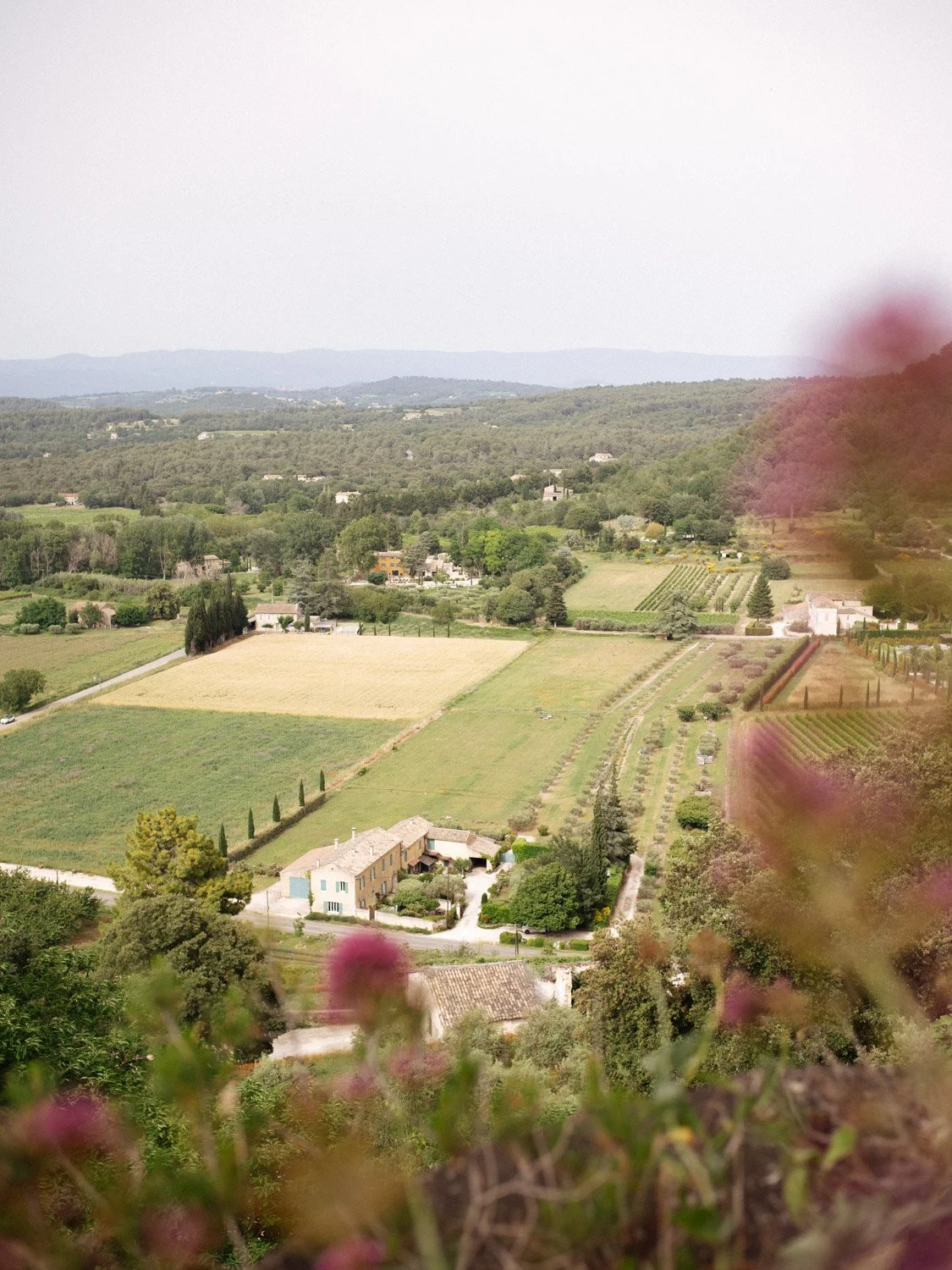 A week in Provence Lean Timms -79.JPG