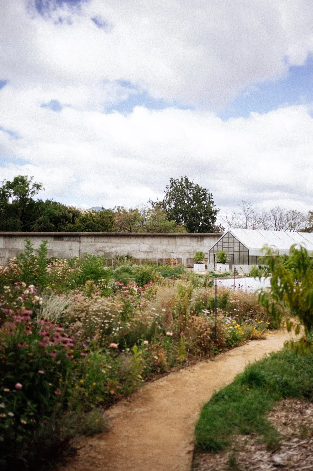 Agrarian Kitchen Garden Lean Timms-1.jpg