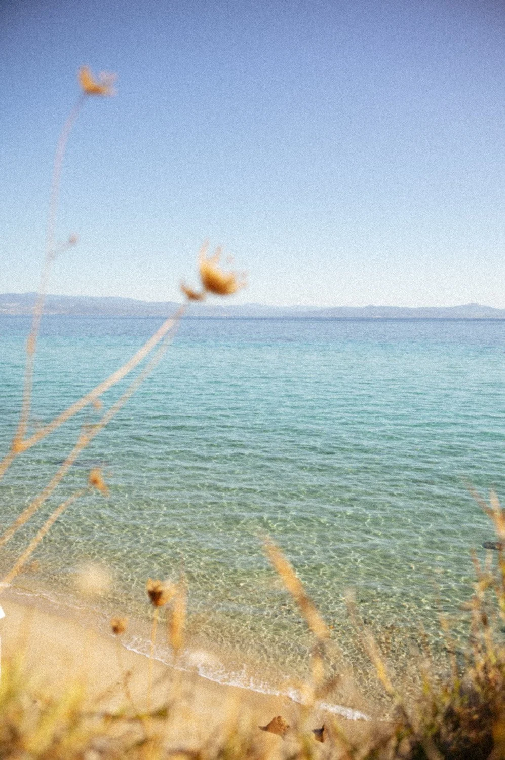 Greece Lean Timms-1.jpg
