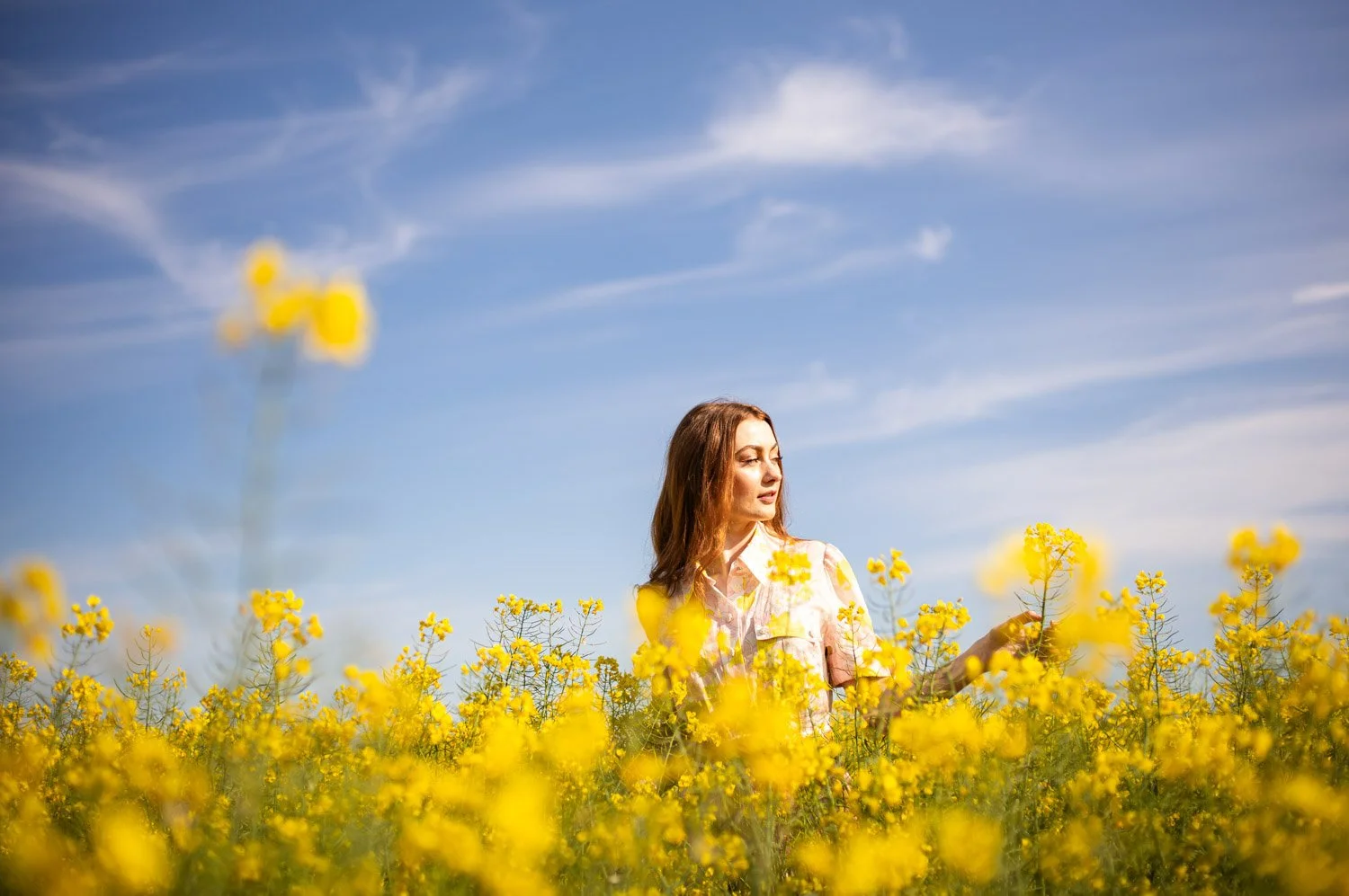 Canola Trail Lean Timms-2.jpg