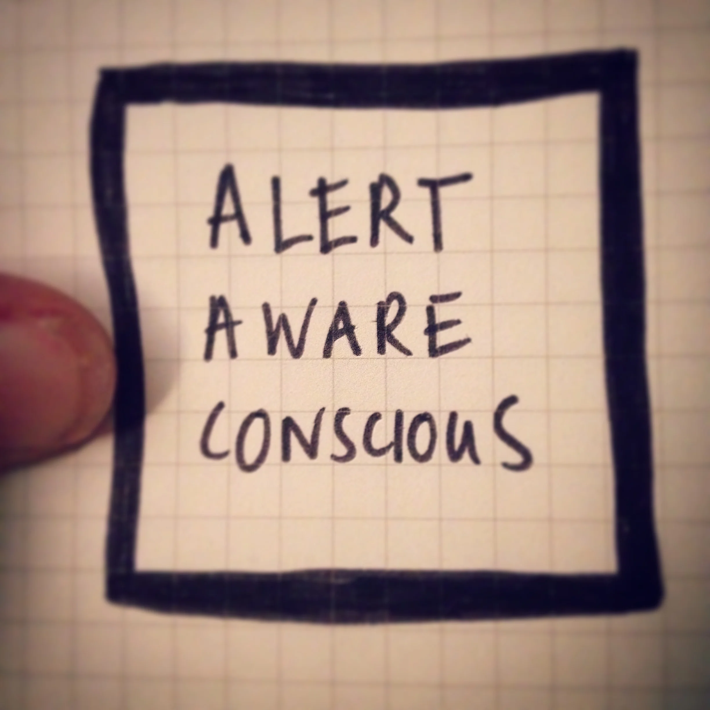 Alert aware conscious.jpg