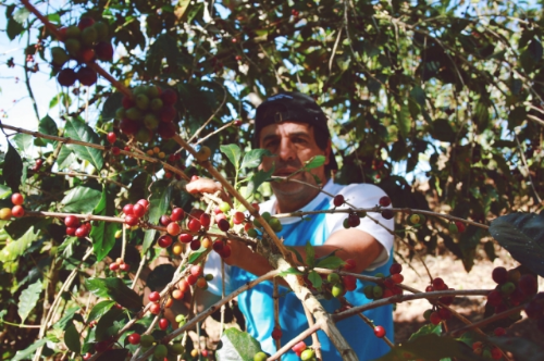 Carlos showing me around Chamaco, Tematica